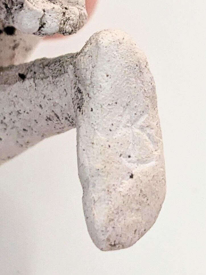 Hilde-gugg-in-die-Luft - Anna Klaus 3