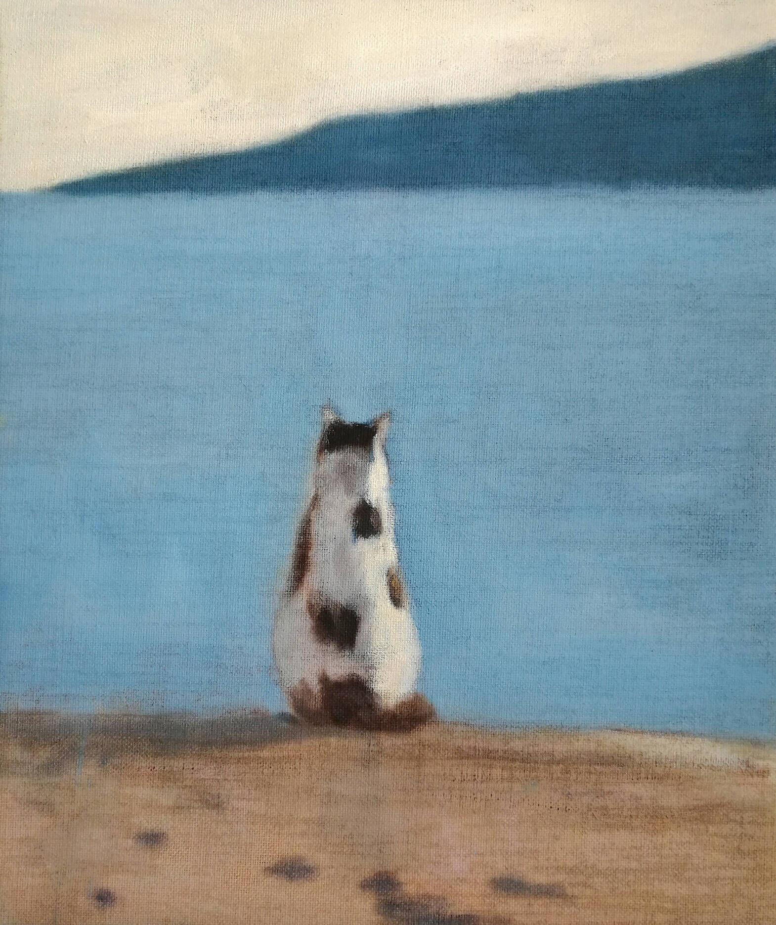 Katze am Meer - Christian Herzig 1