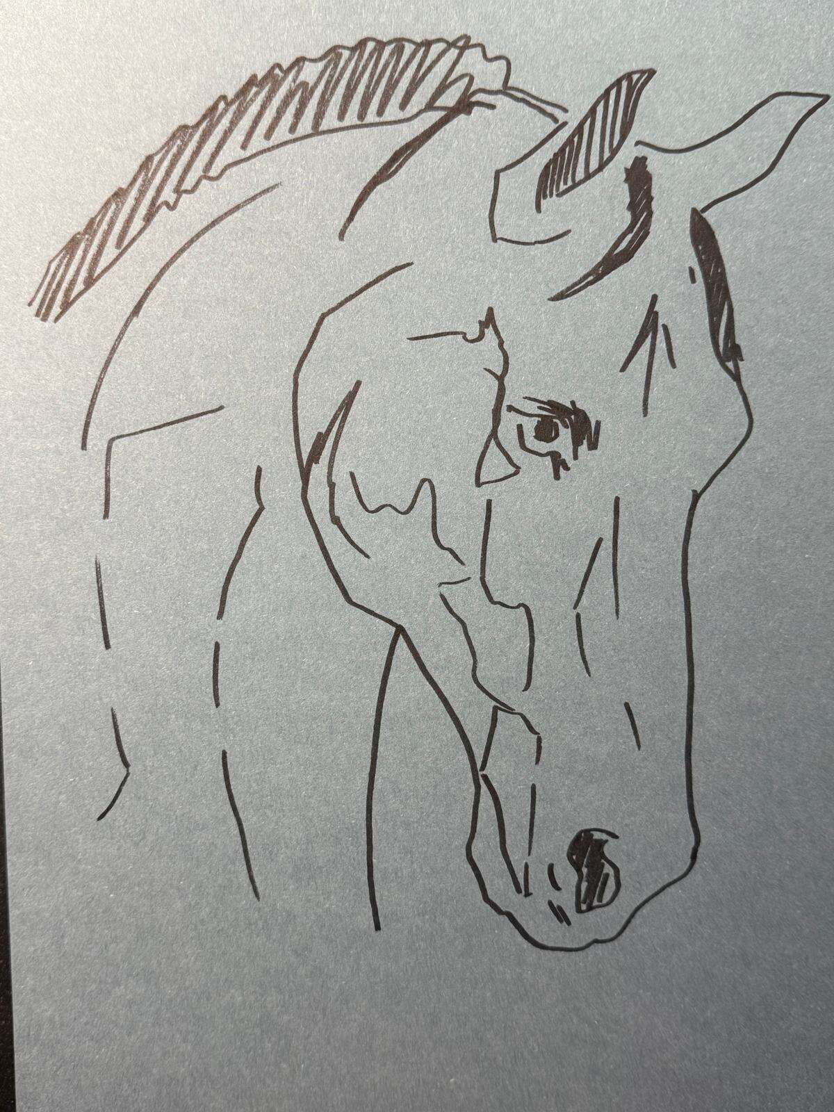 Pferdeköpfe - Laura Küpper 1