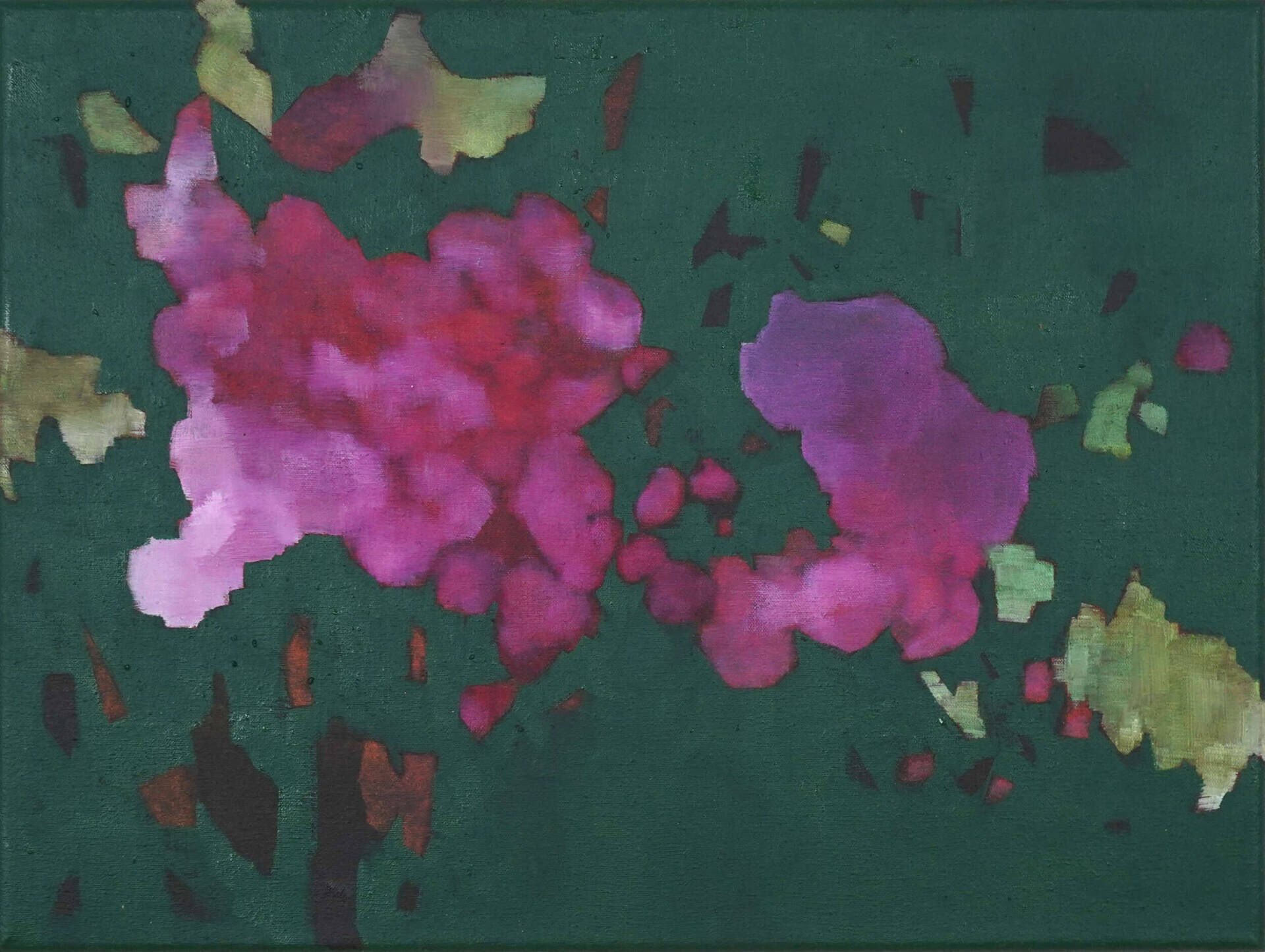 Little Things around You (Flowers) -10- - Nozomi Hasegawa 1