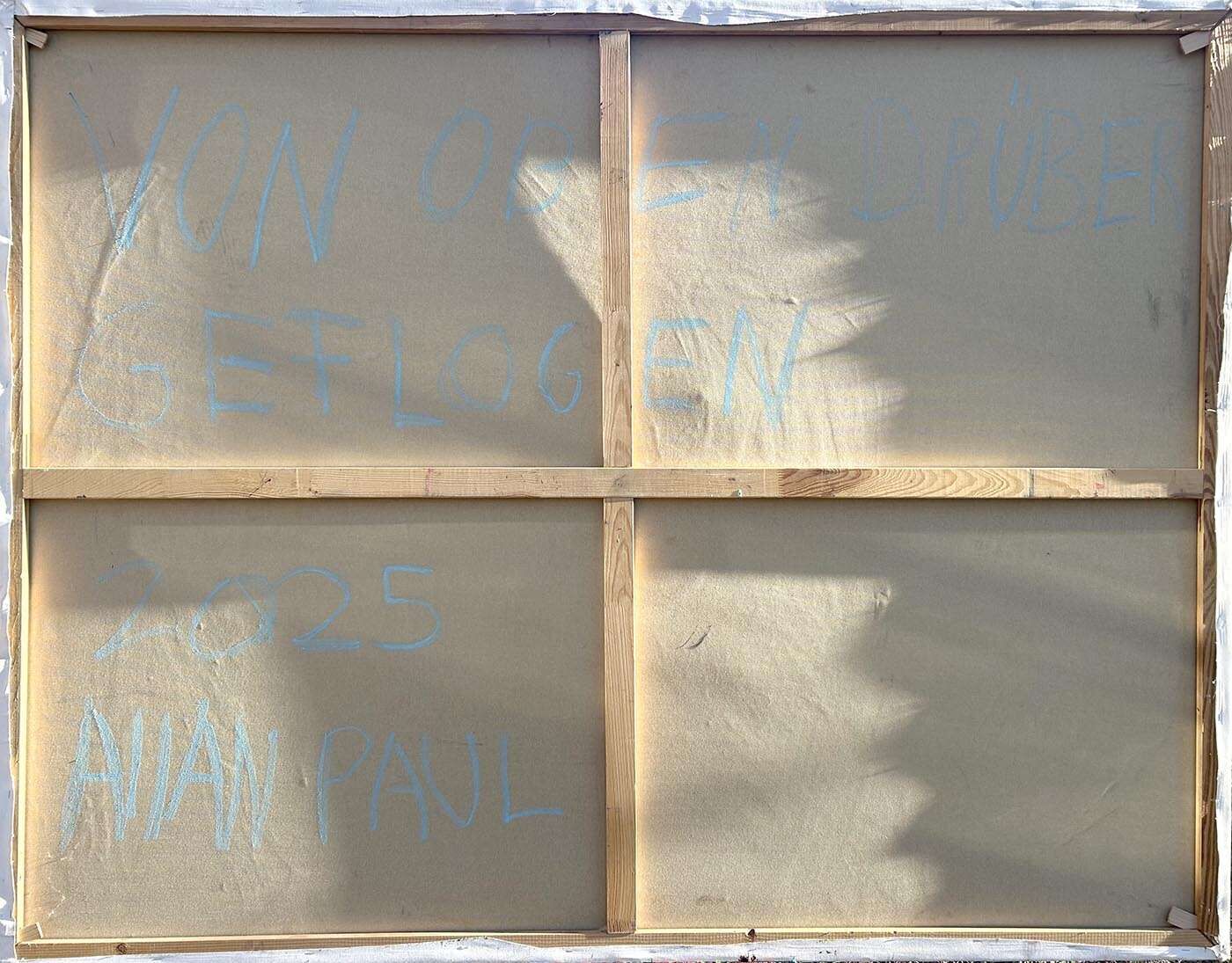 Von oben drüber geflogen  - Allan Paul  2