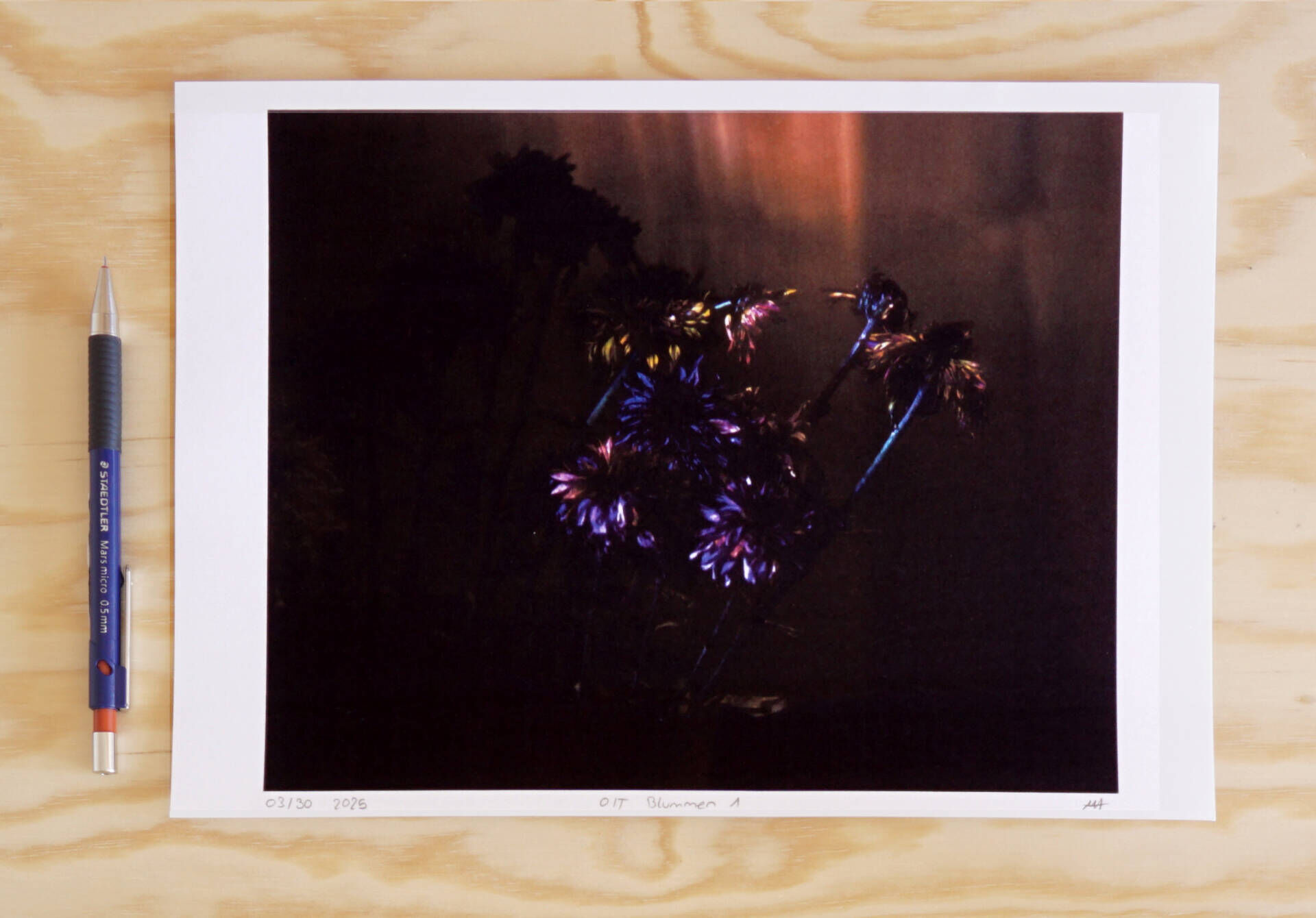 O/T Blummen 1 - Myriam Schneiders 1