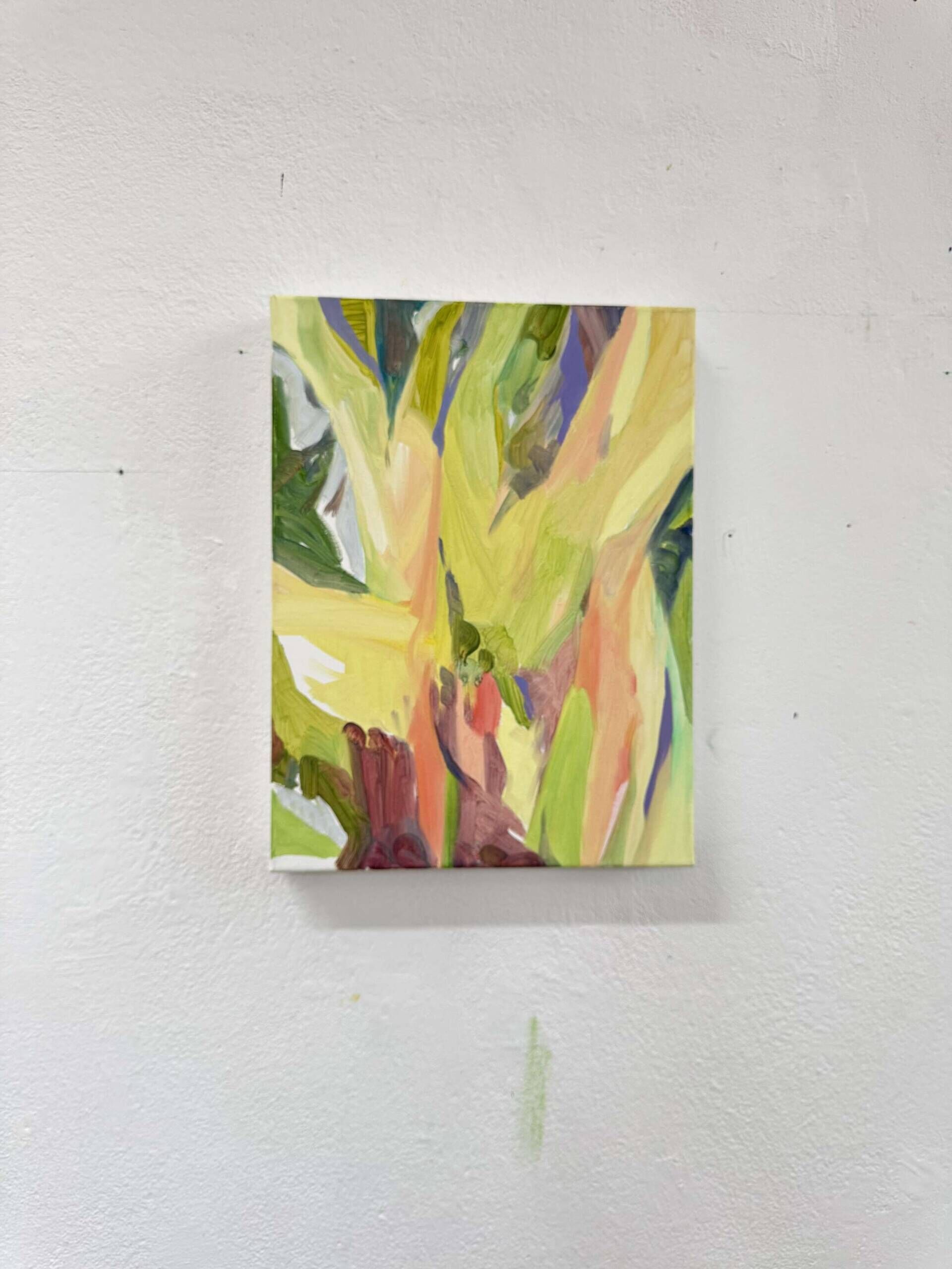 Baumfragment - Cong Cong 4