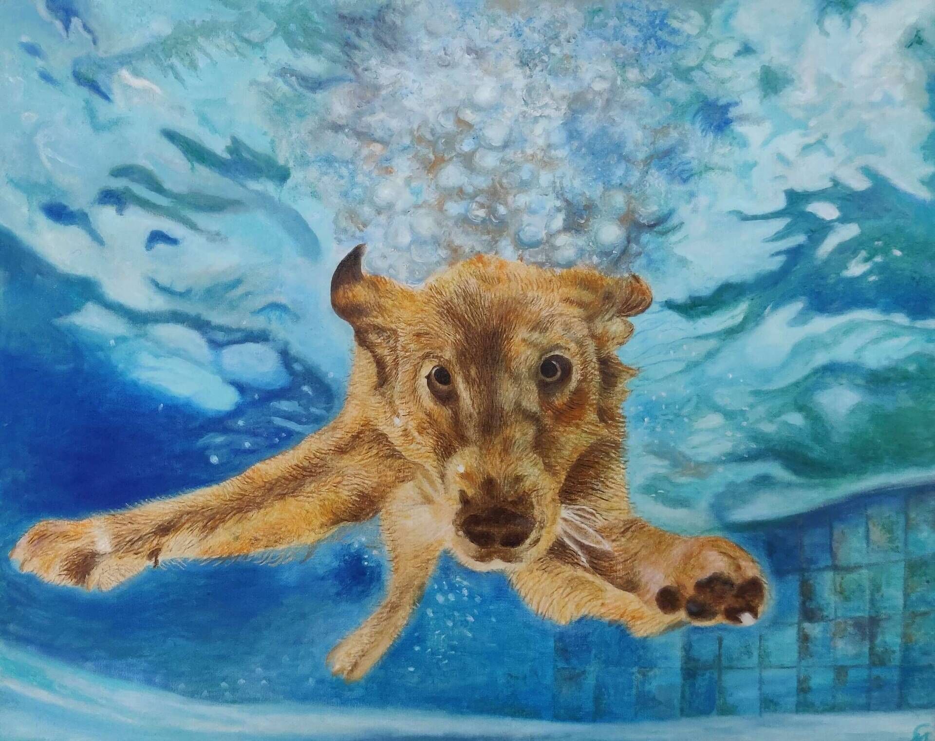 Seehund - Milena Simonis 1