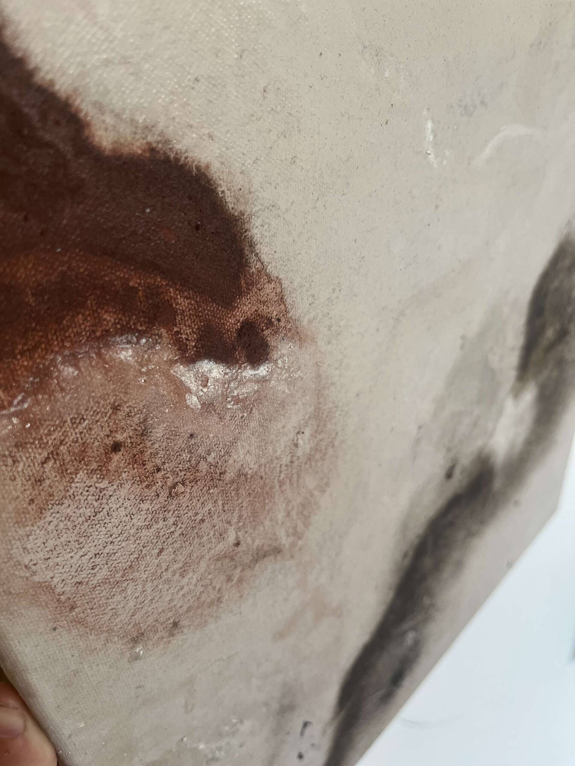 Earth movement  - laura sherin 1