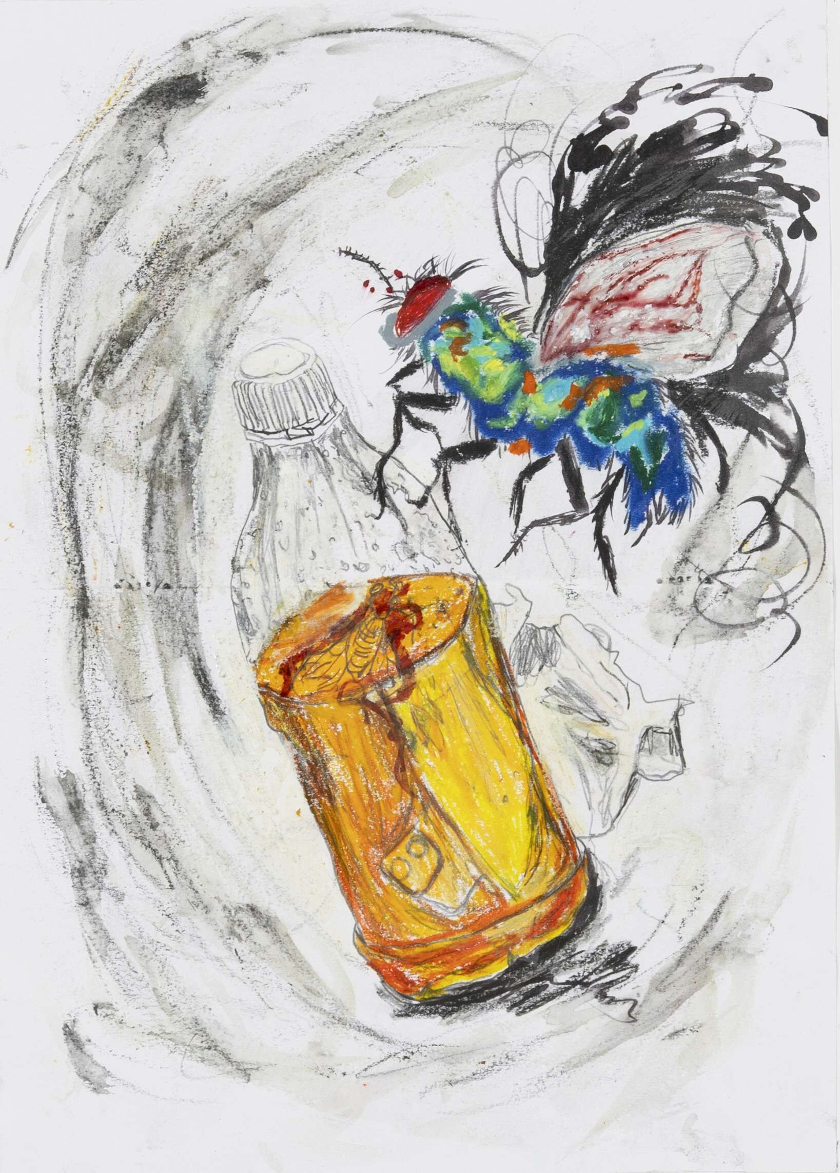 Fliegenstudie III - Boramee Kim 1