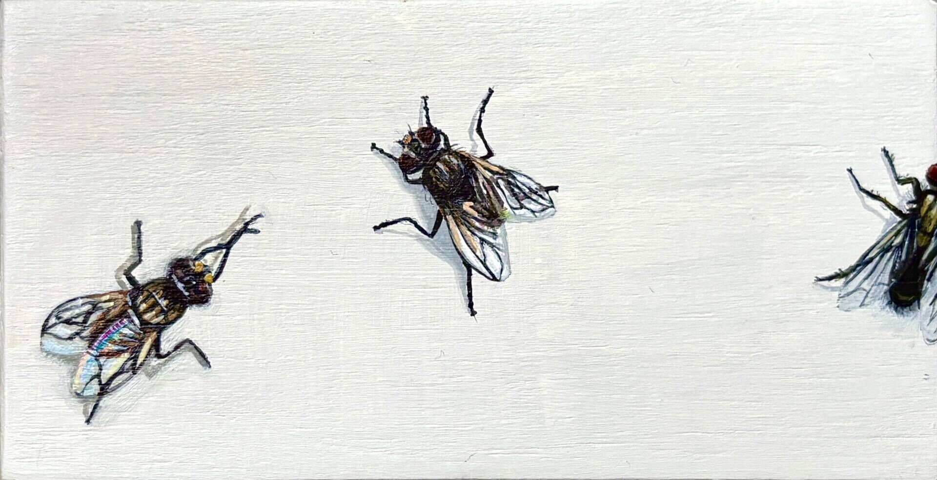 Tiny Terrors (Fly) - Louis Ortwein 1