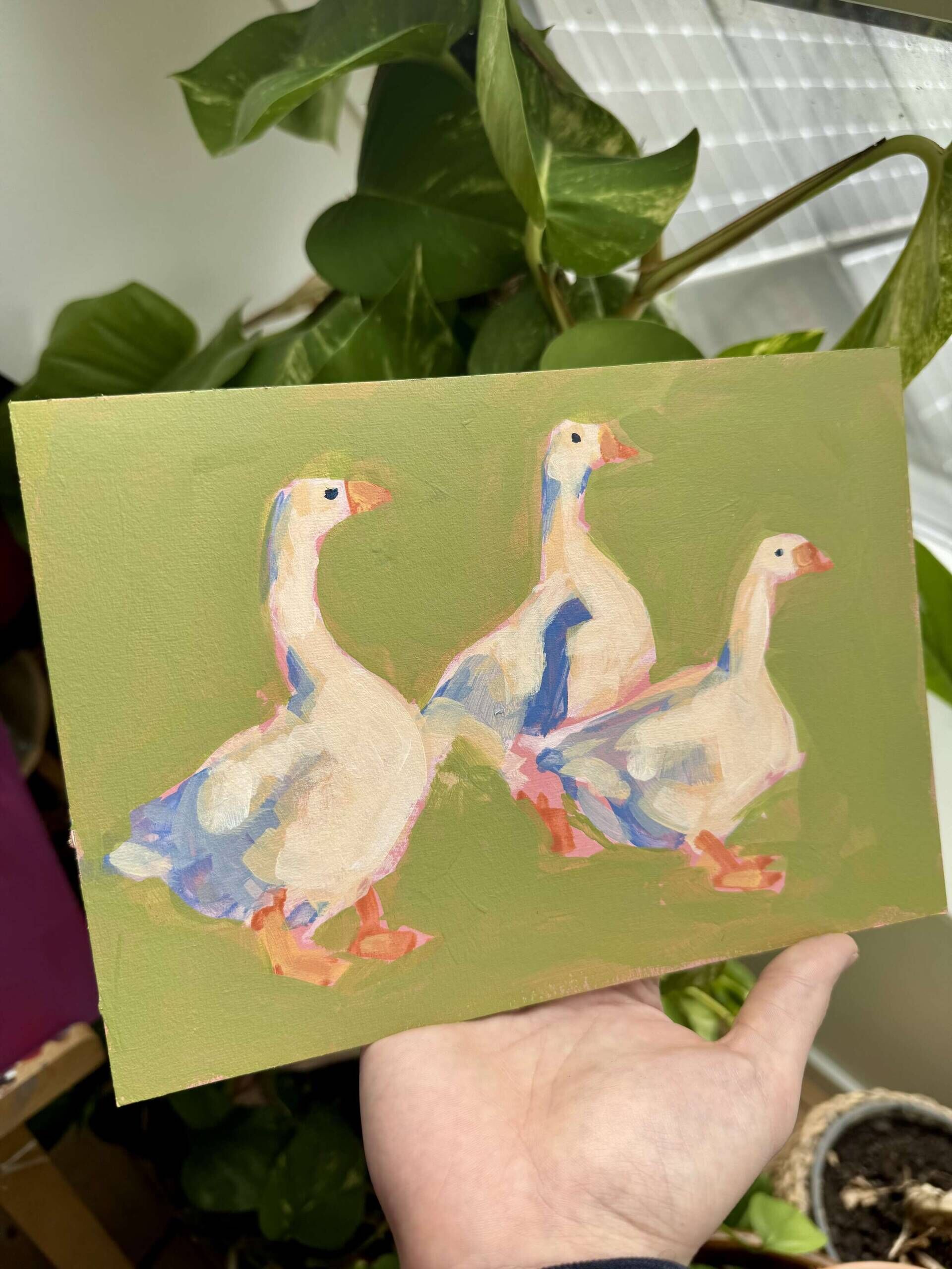 Gänse im Grün - Daniel Heimgärtner 2