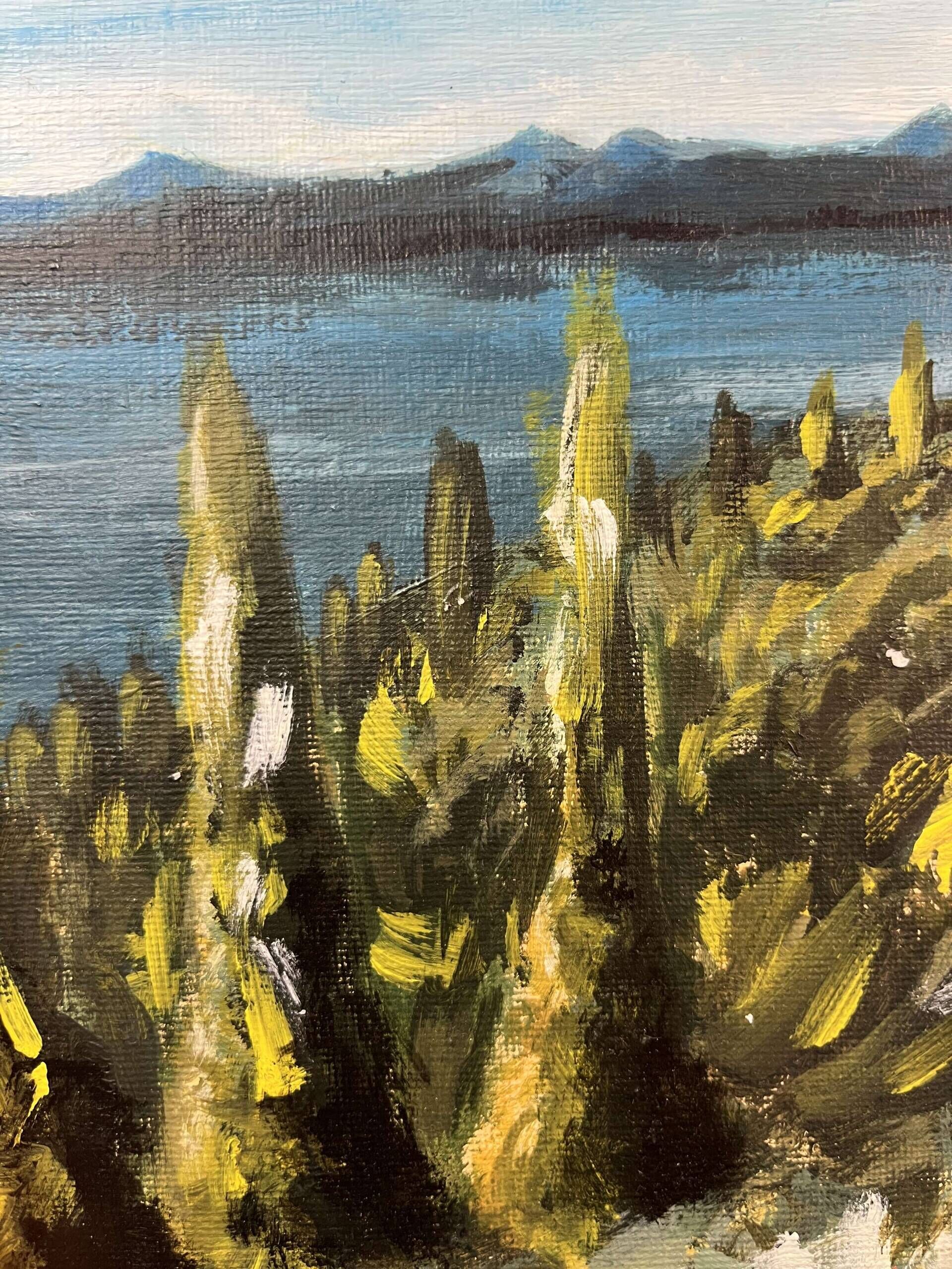 Nordlande - Leon Tho Barwig 4