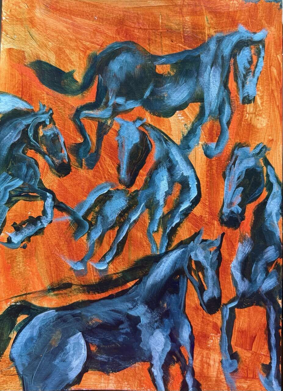 Estudio de caballos - Juliana Gutiérrez Wiest 3