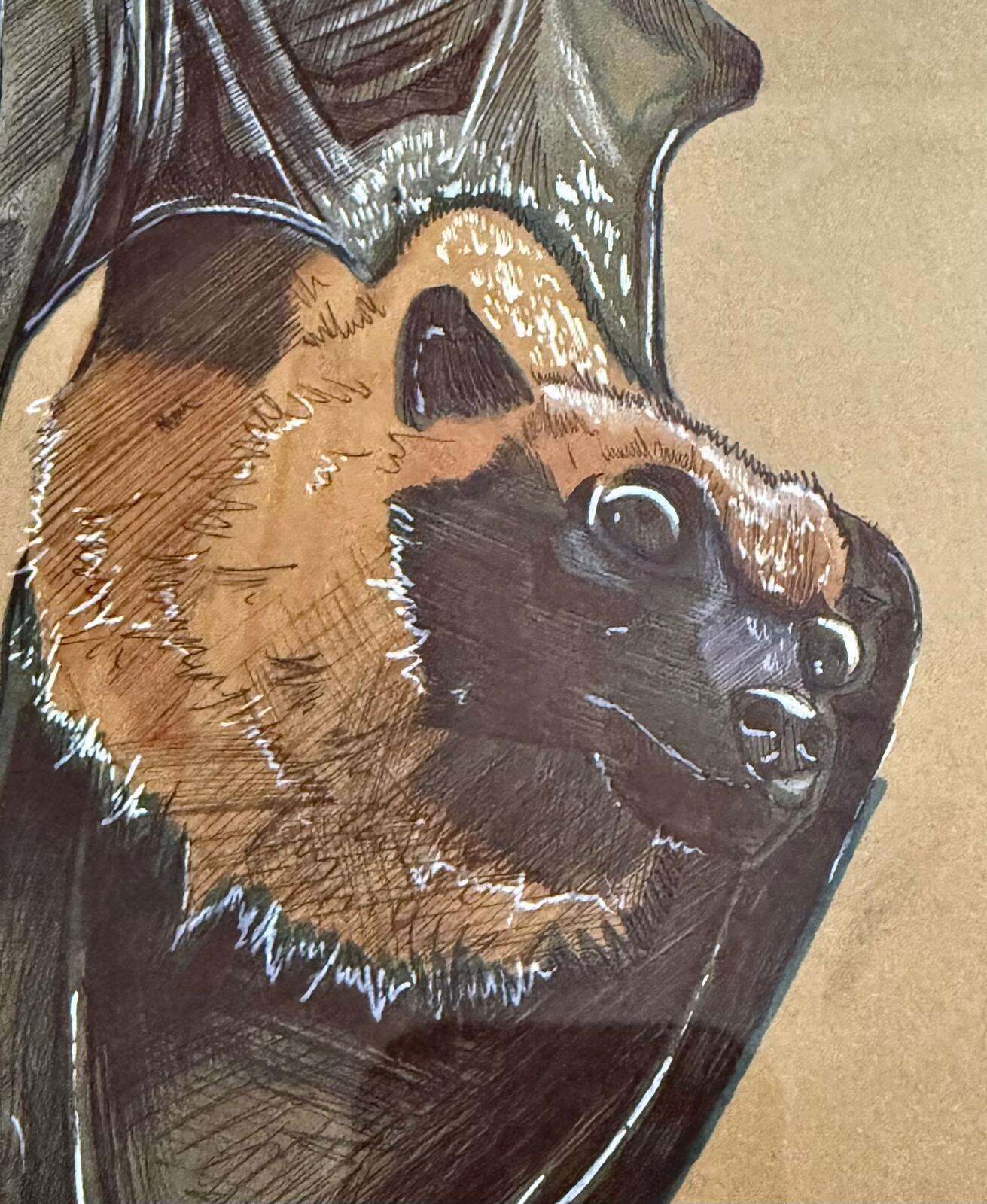 Bats - Laura Küpper 2