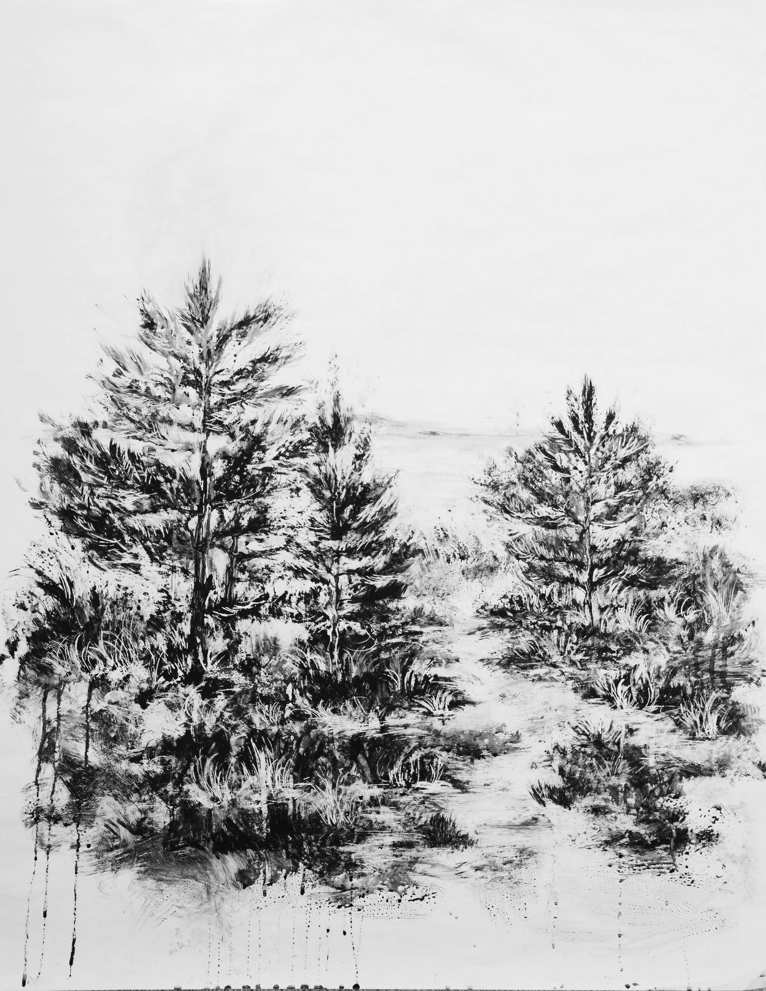 Kiefern - Theresa Haupt 1