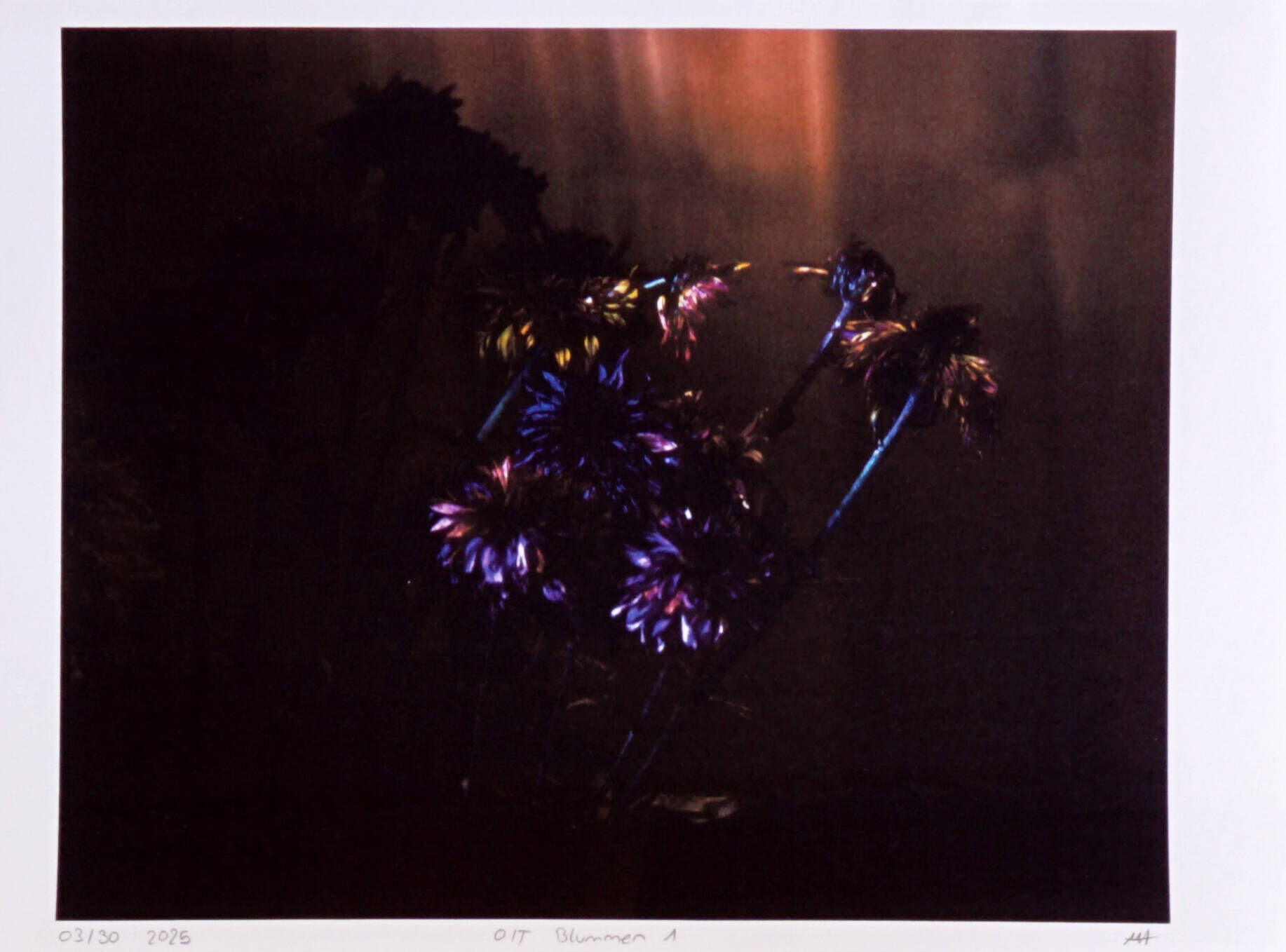 O/T Blummen 1 - Myriam Schneiders 3