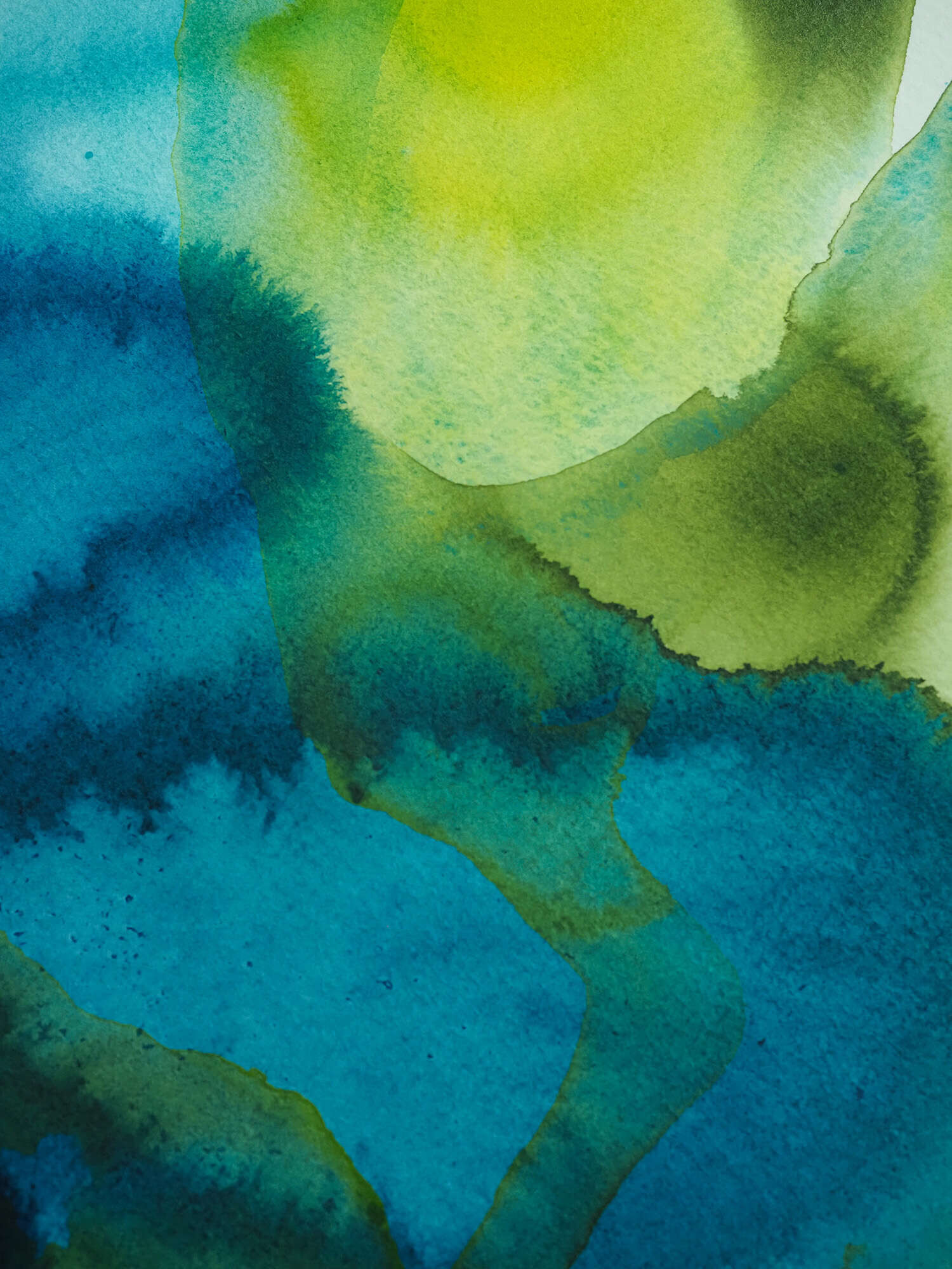 Microverse 3/12 - Vicky Anna Lardschneider 2