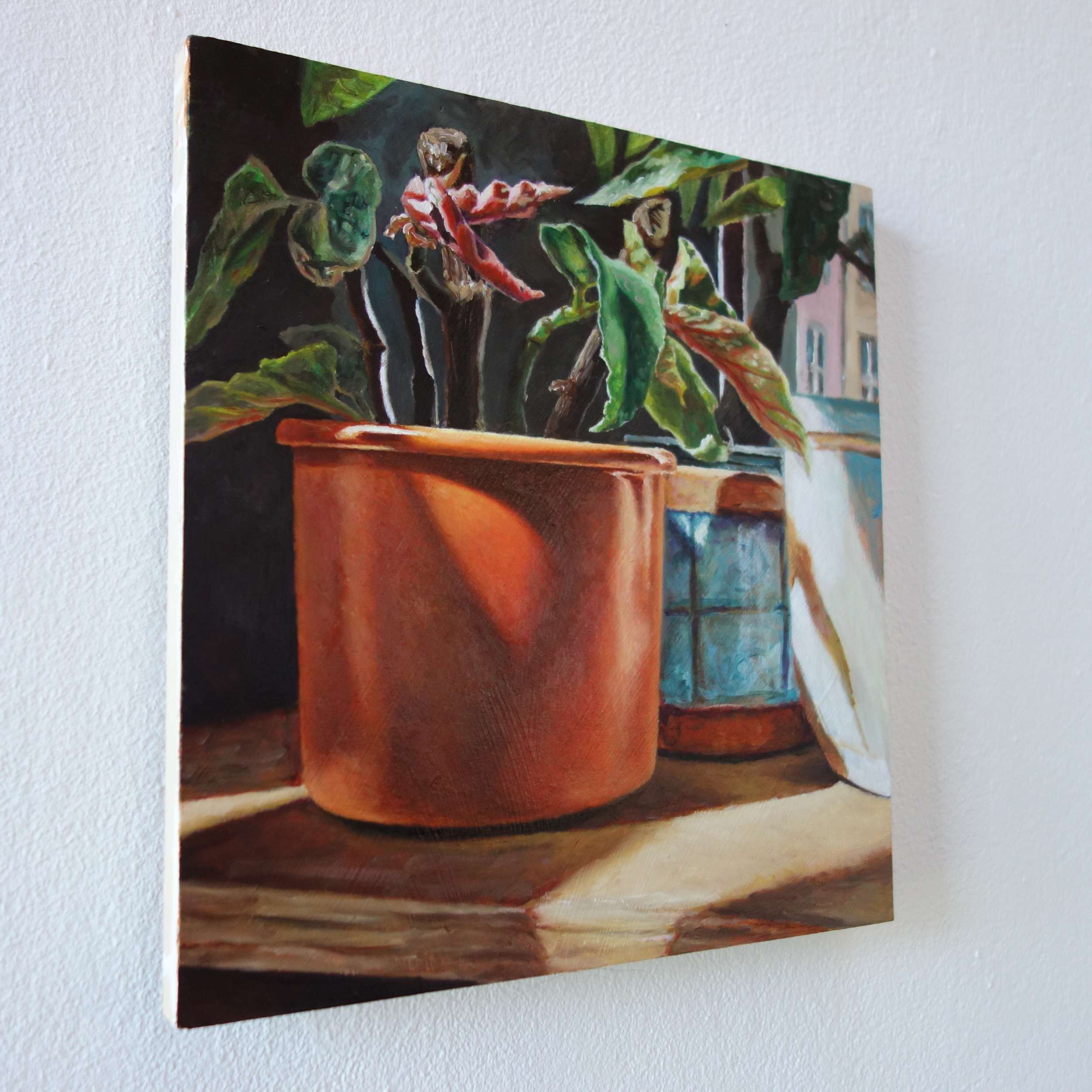 Forellenbegonie - Johanna Bajog 3