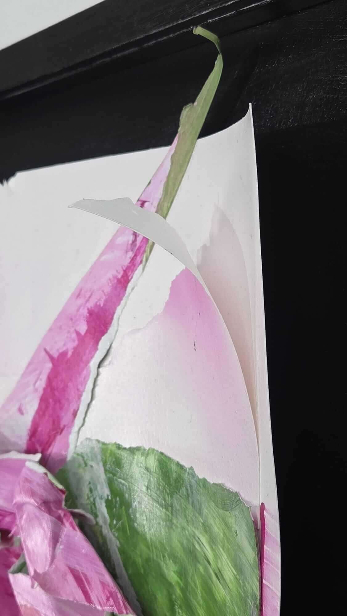 Opera 1-1025 - Vesna  Faiazza  3