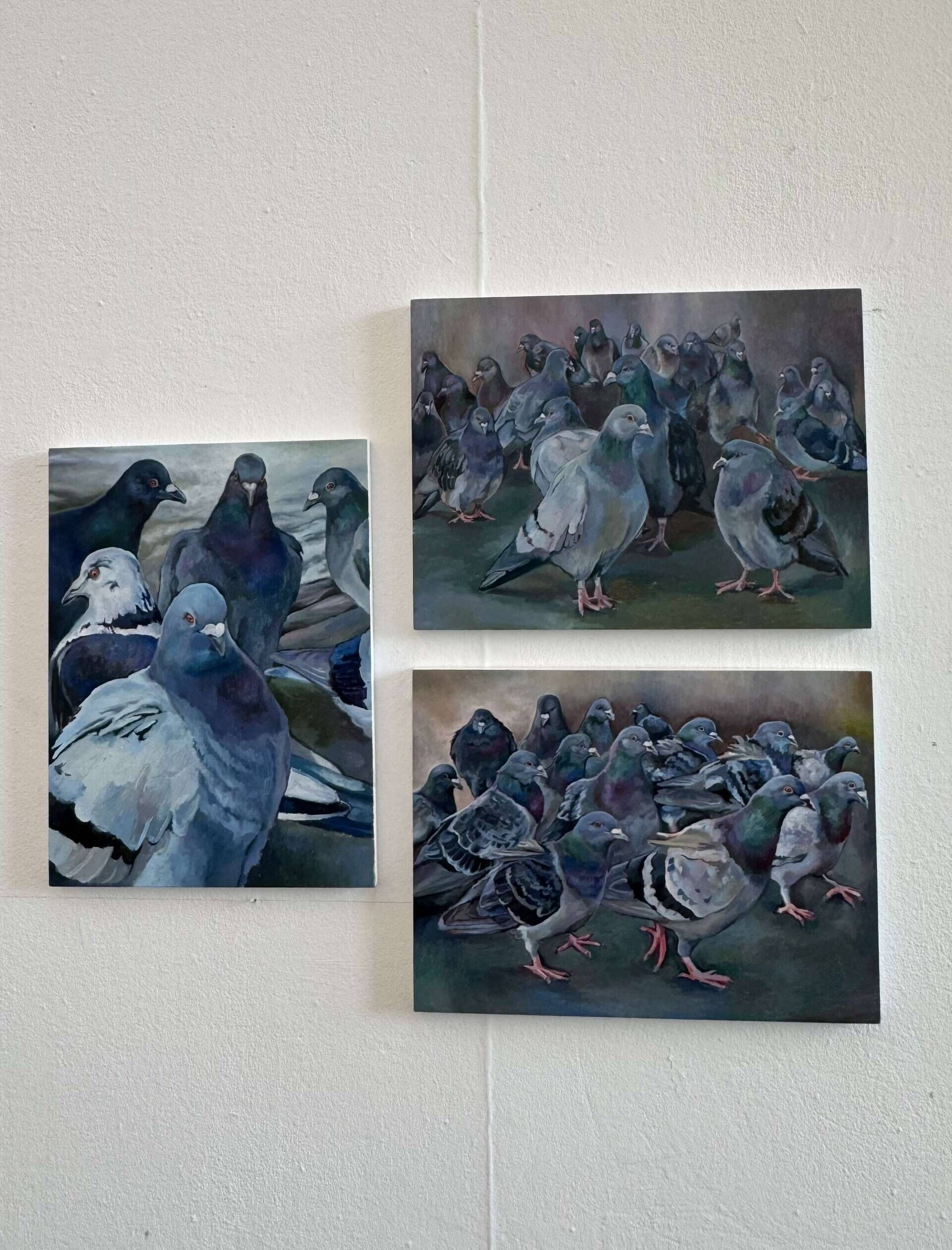Taubenhaufen I - Leonie Puschmann Taubenhaufen I - Leonie Puschmann 3