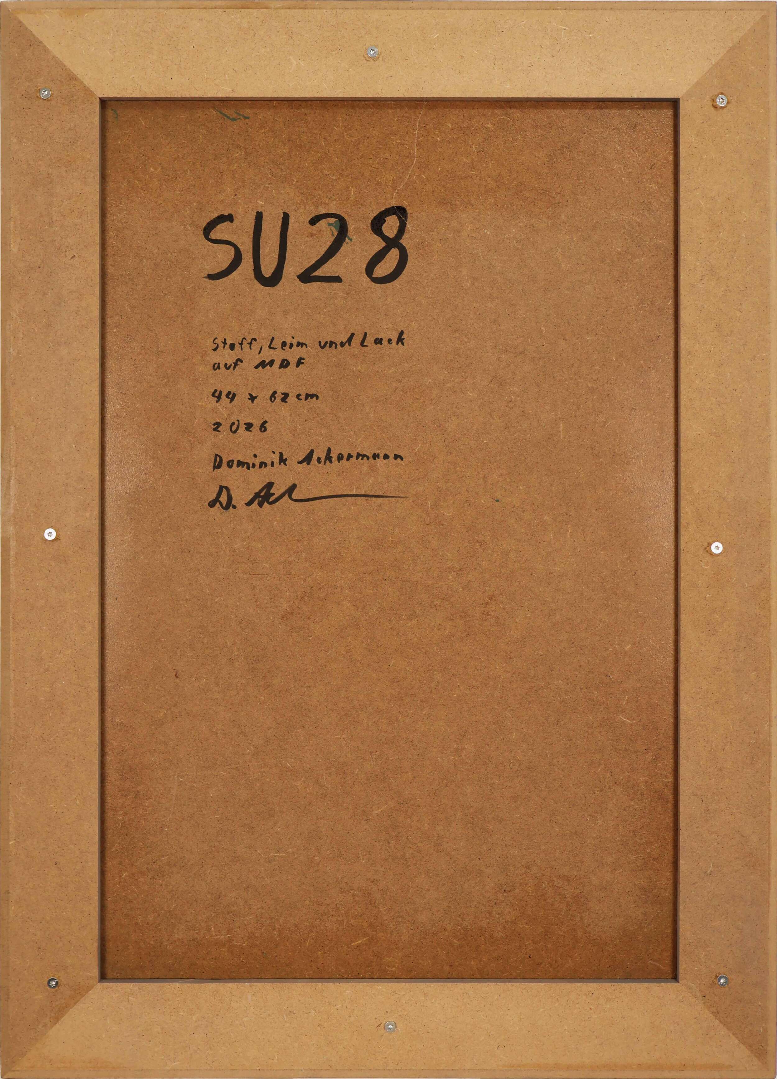 SU28 - Dominik Ackermann 4