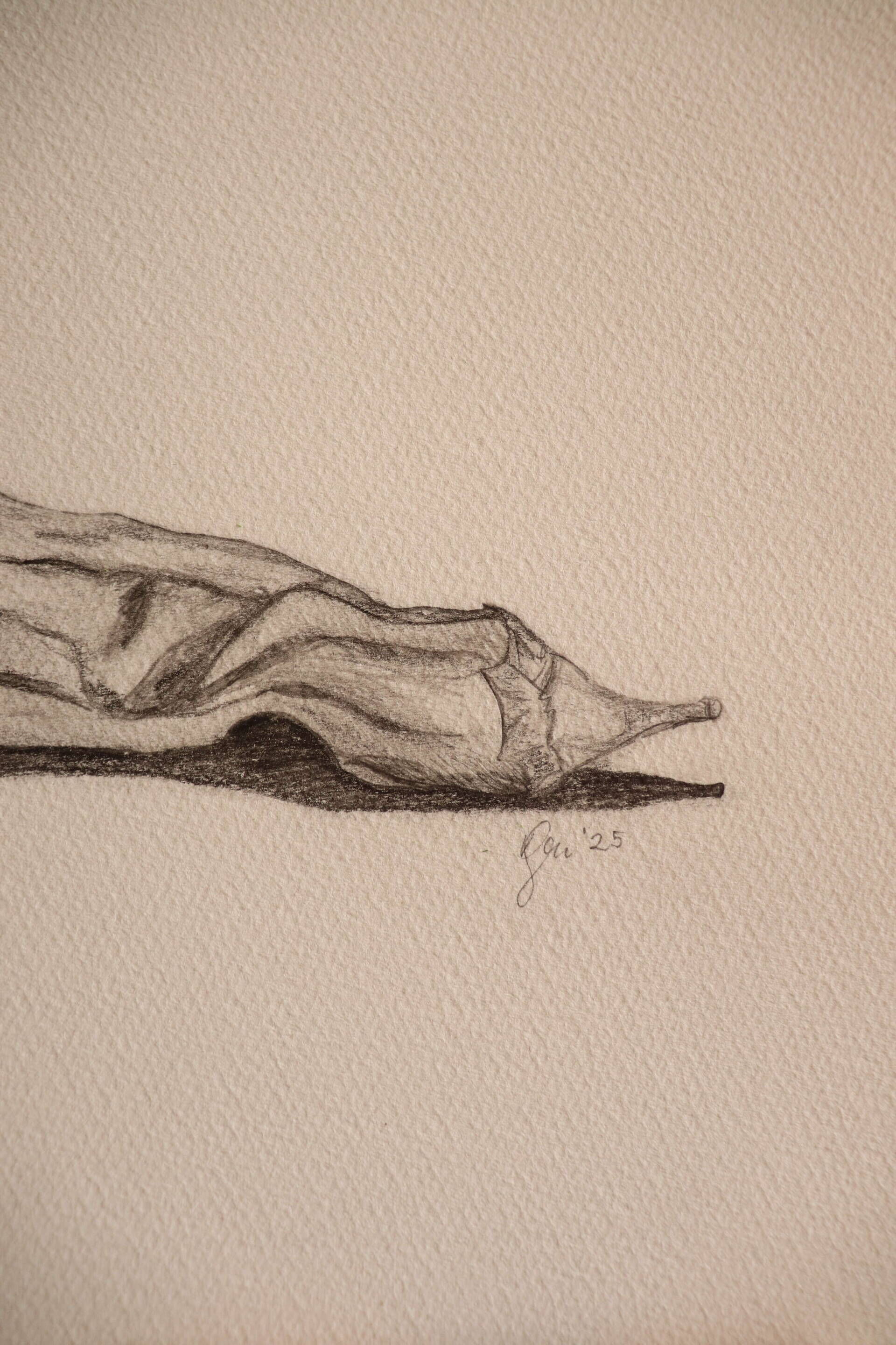 Hingelegt - Karolina Schymura 2