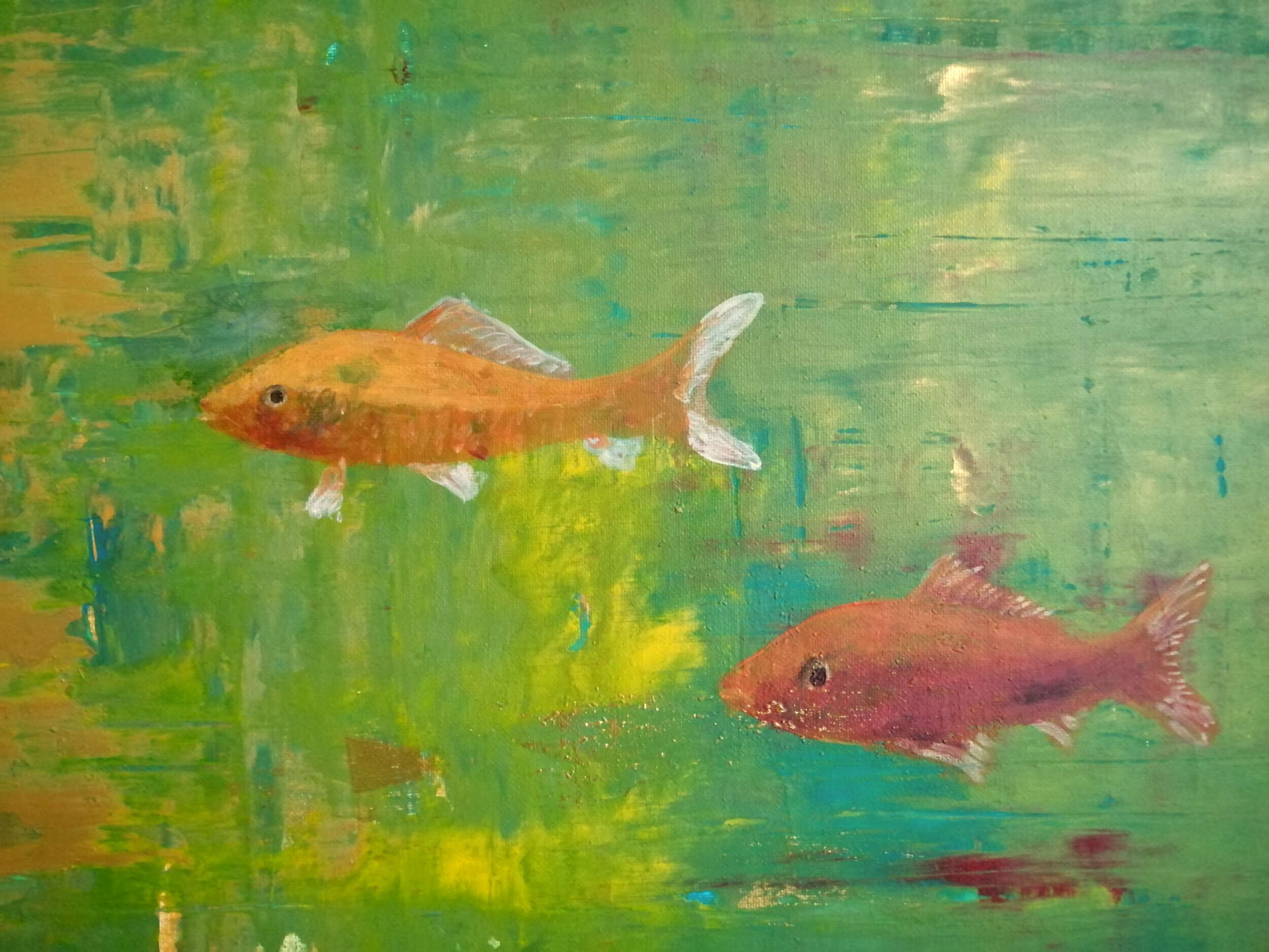 Fische - Christian Herzig 1