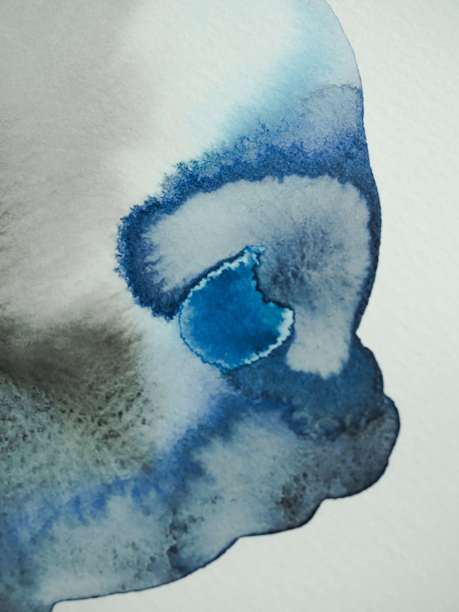 Microverse 4/12 - Vicky Anna Lardschneider 3