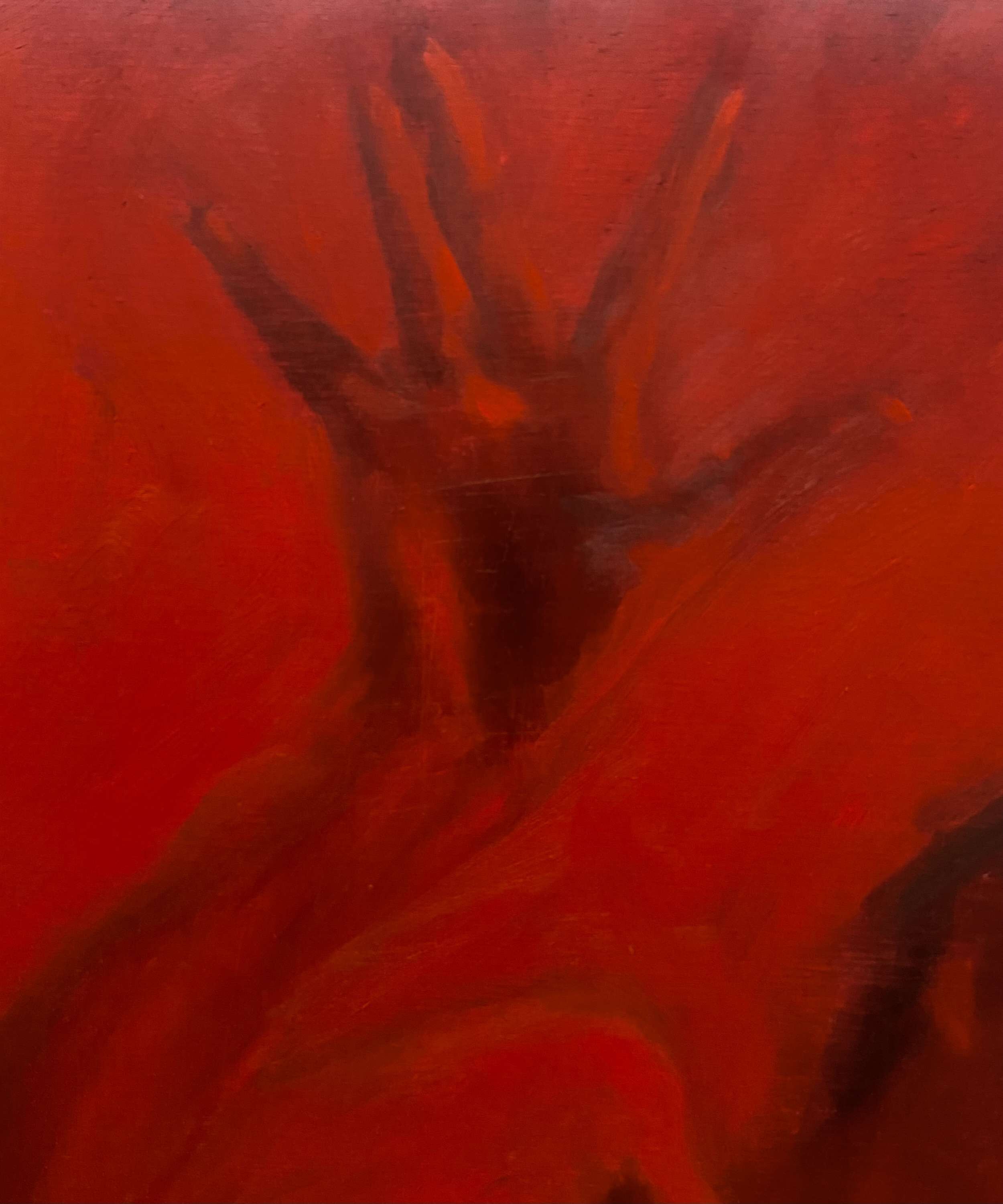 Lost in redness  - Lilli Geyer 2
