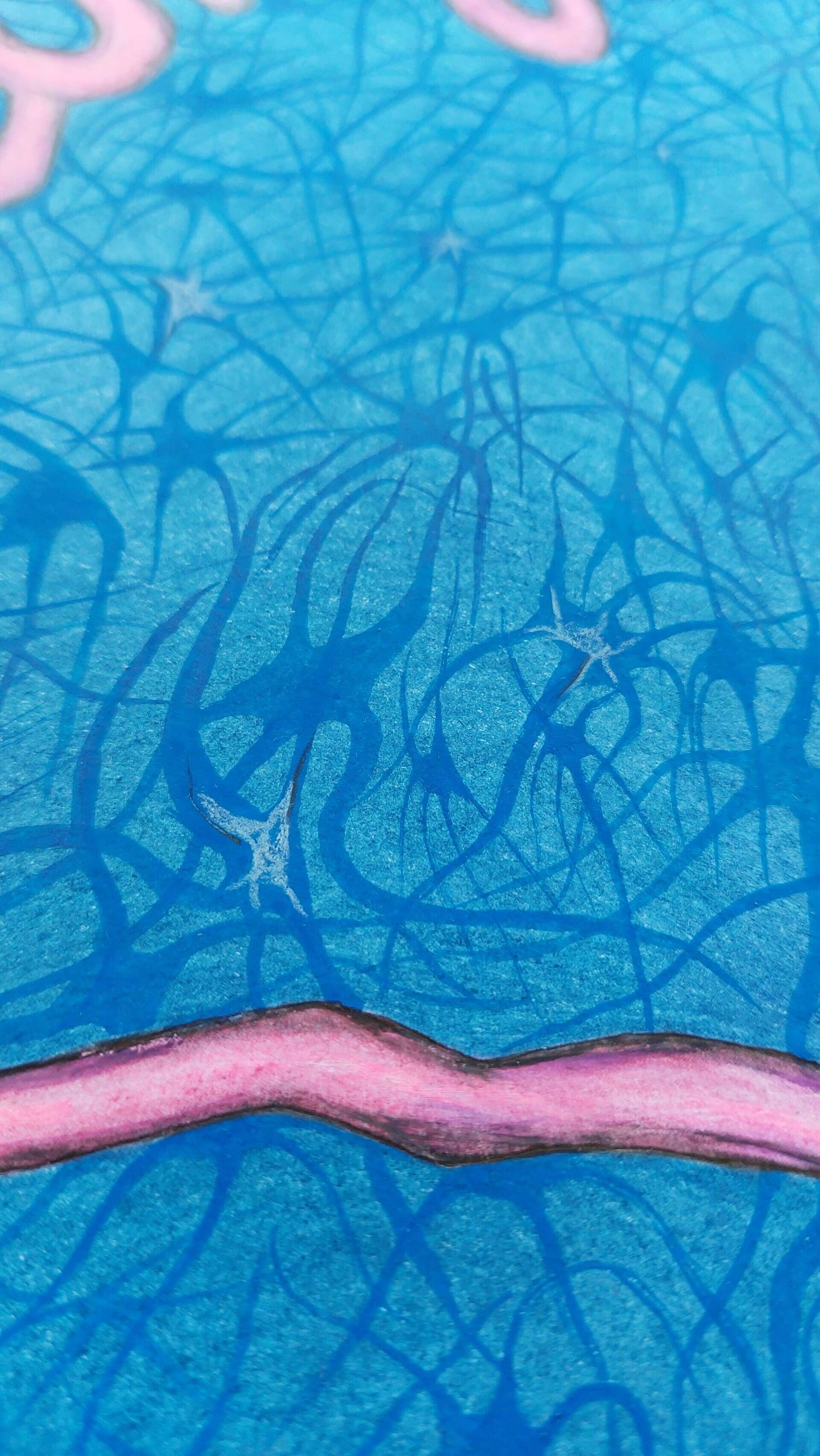 Lifelong learning - lebenslanges Lernen - Alexander Straub 10