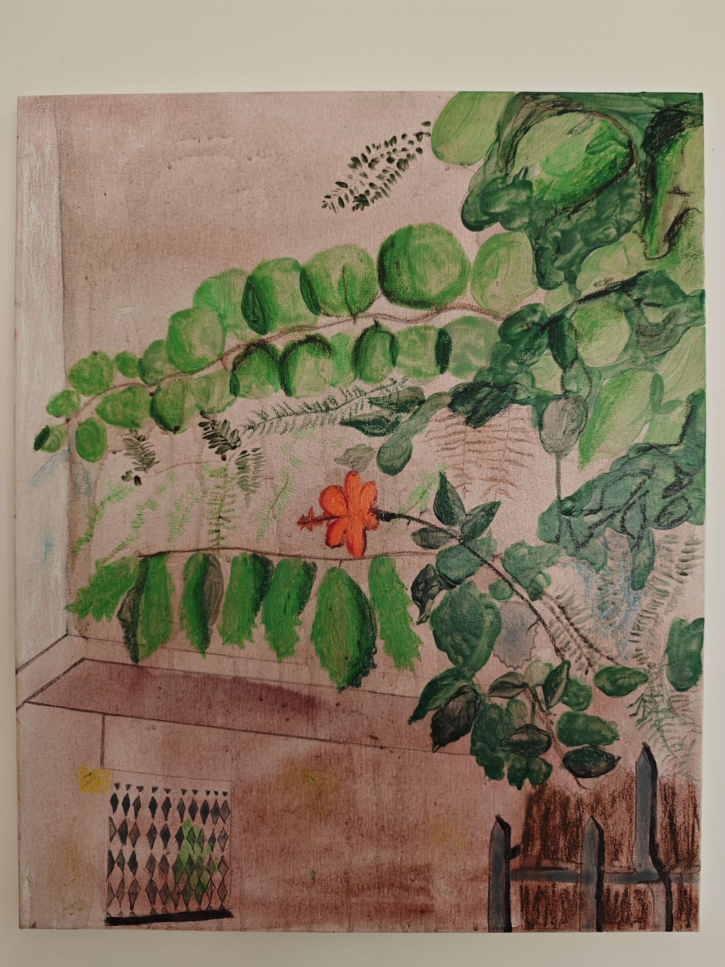 Hibiskus - Ina Edera 1