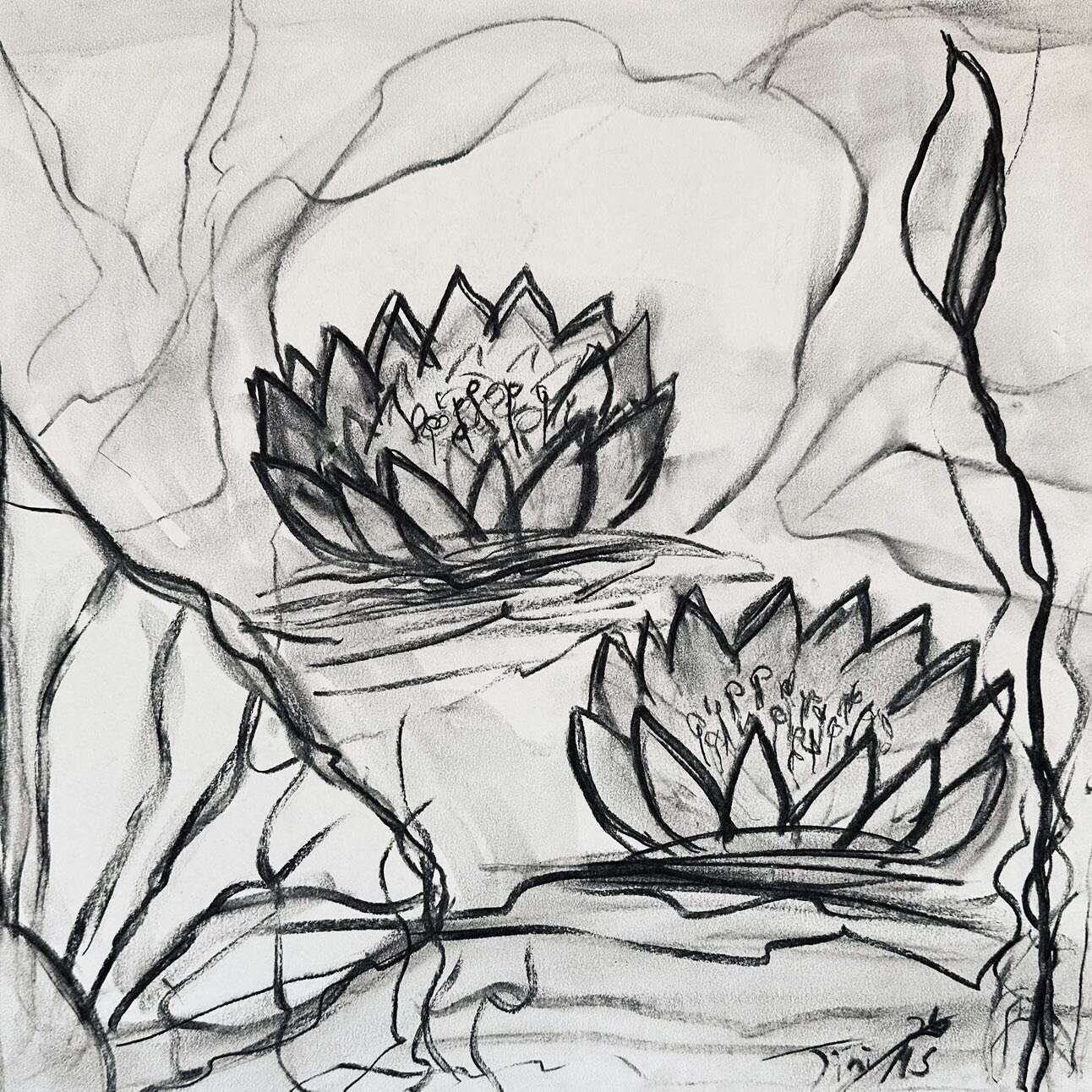 Seerosen Erblüht  - Martina  Schepperle  1