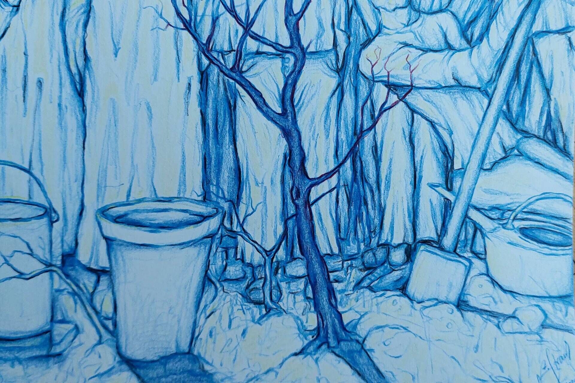 Baum gepflanzt  - Alexander Straub 7