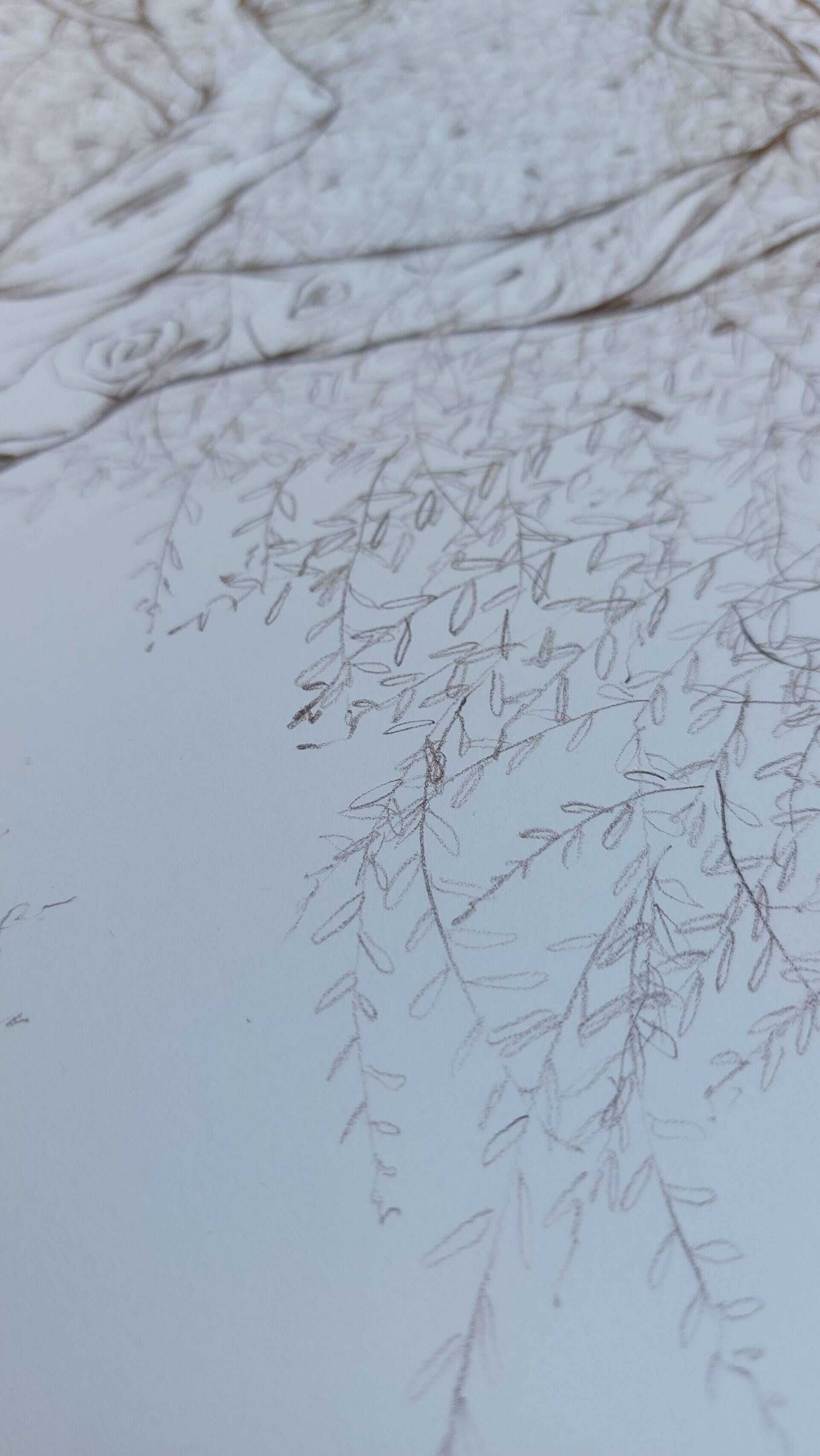 Olivenbaum 5 - Alexander Straub 9