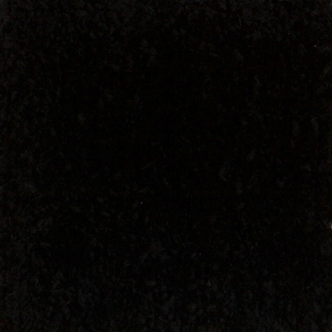 Schwarz - Carmen Moreira 1