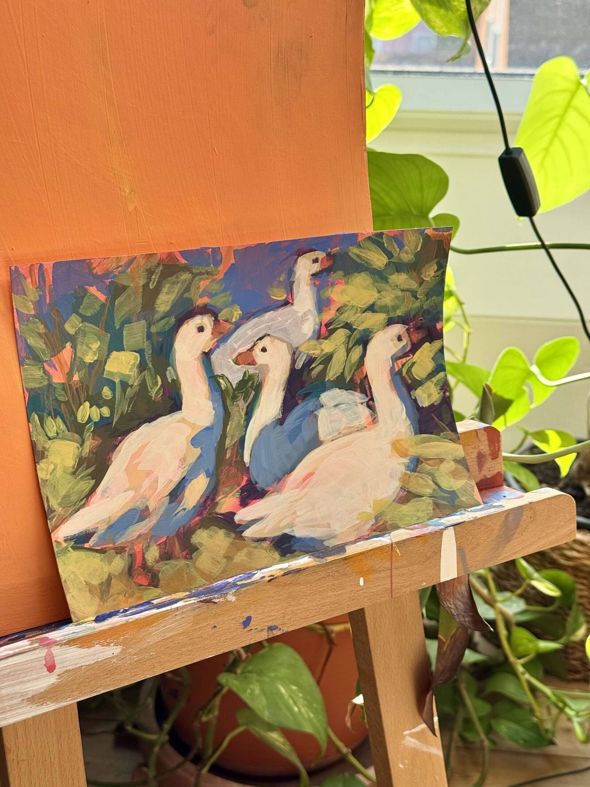 Gänsetrupp - Daniel Heimgärtner 2