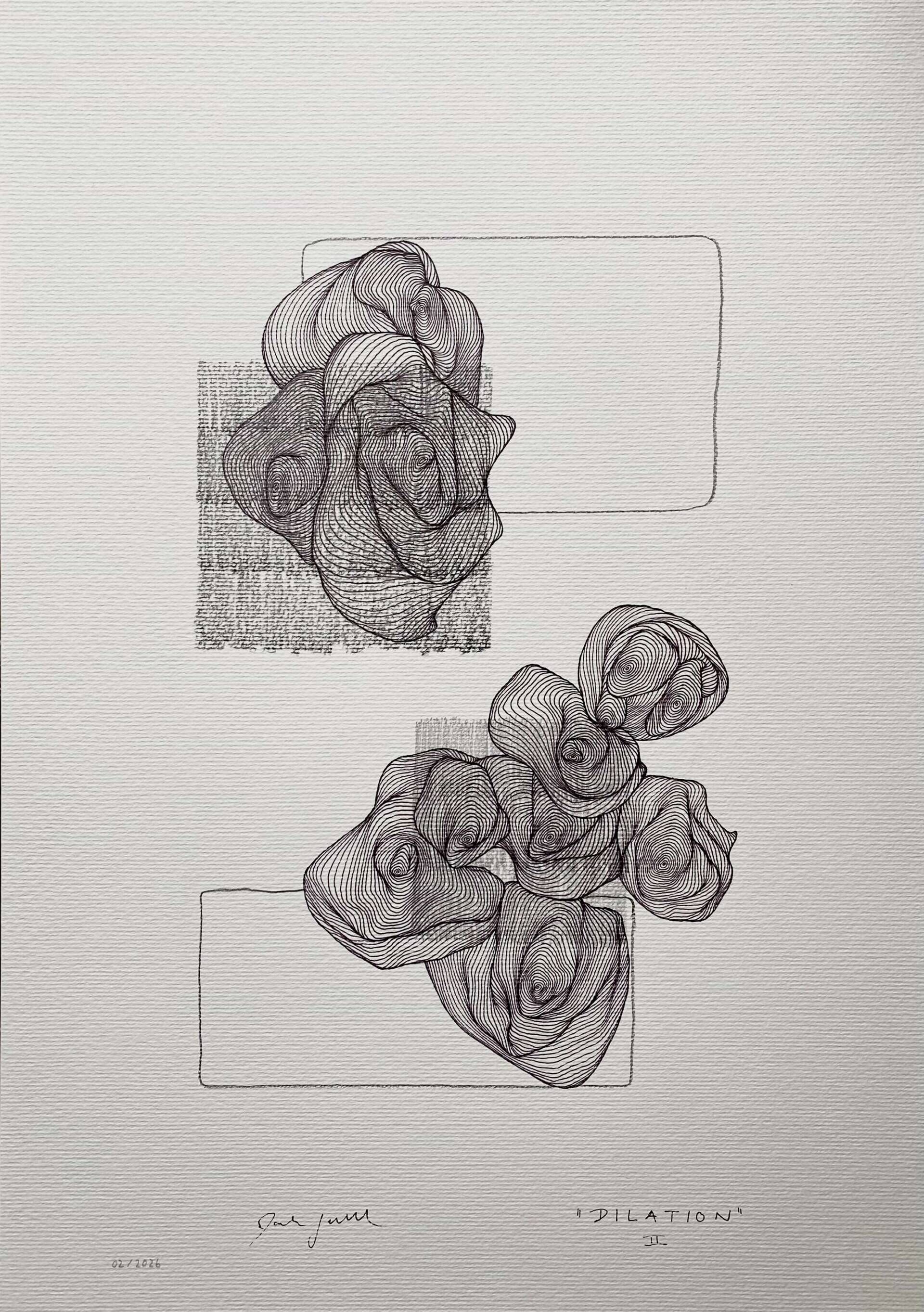 dilation II - Paula-Maryla Schmoll 1