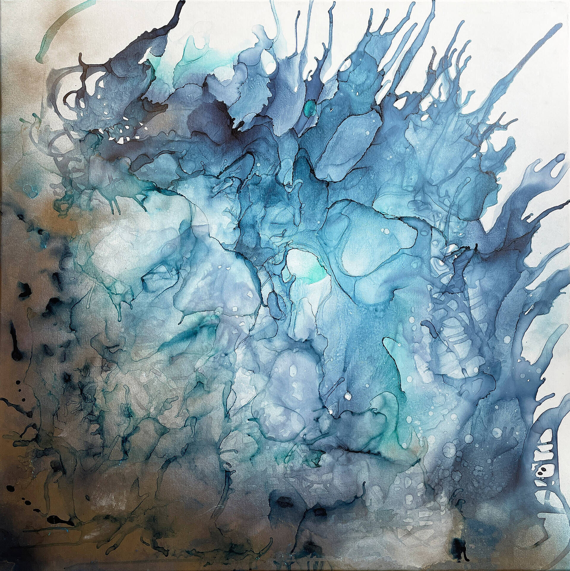 Corals - Vicky Anna Lardschneider 1
