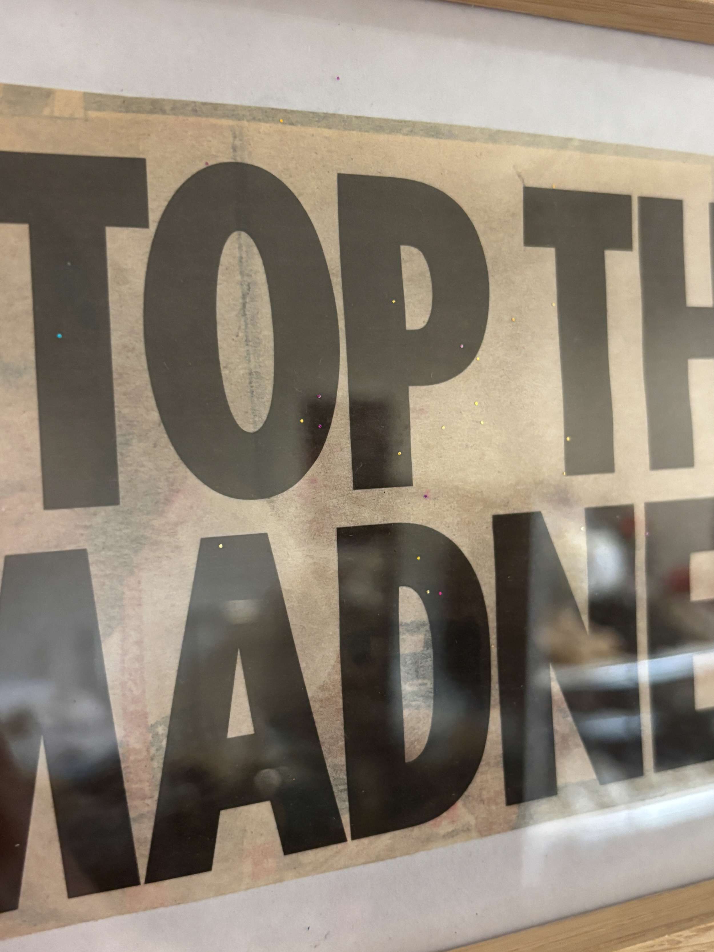 Stop the Madness - Lenny Renz 2