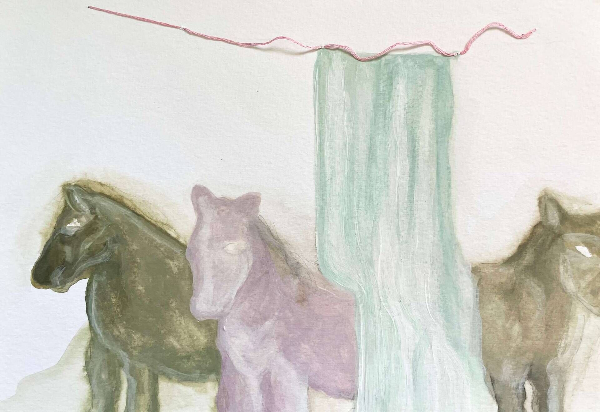 Skagaströnd, Iceland #3 - Teuta Pashnjari 1