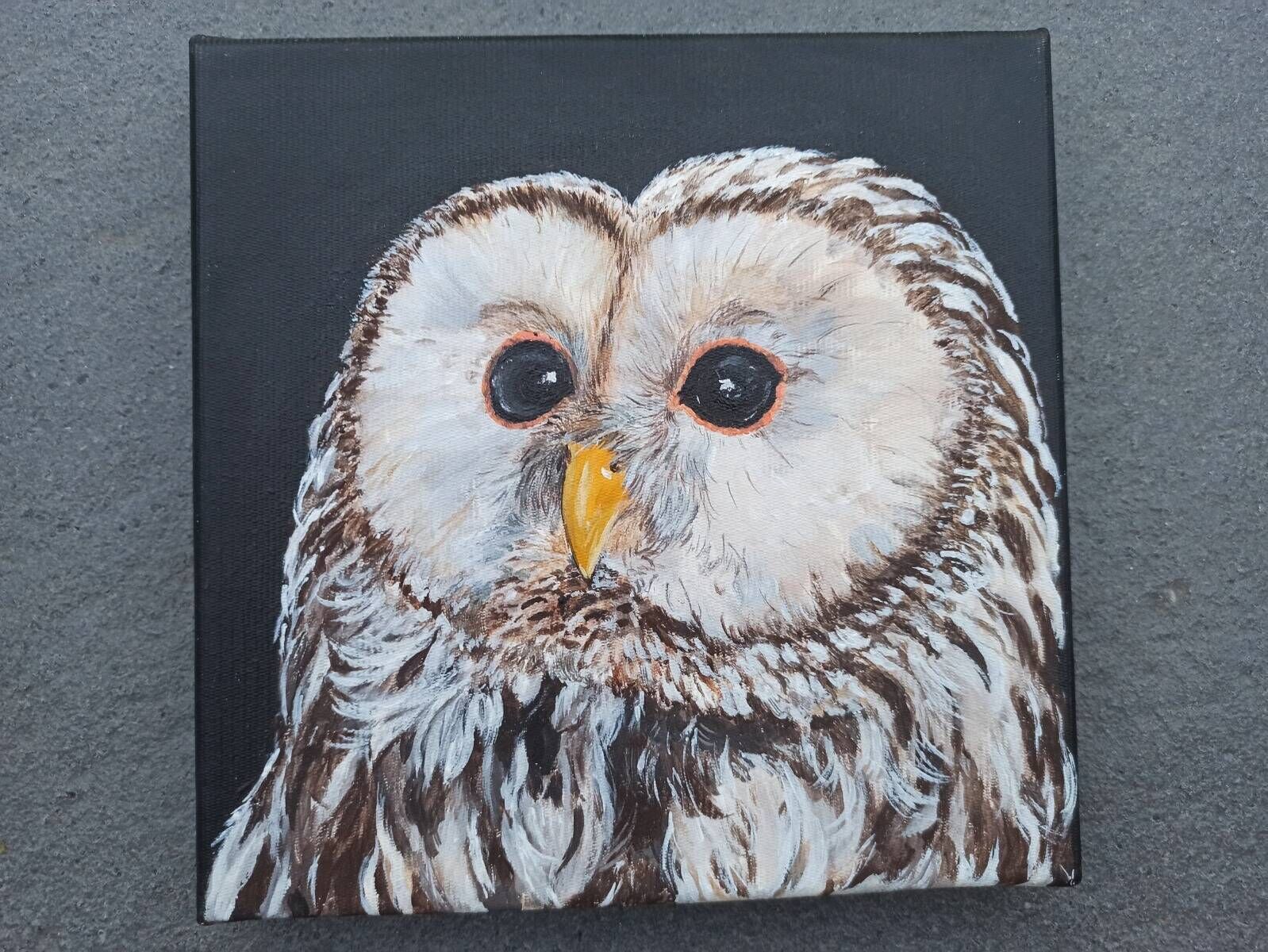 Kleine Eule