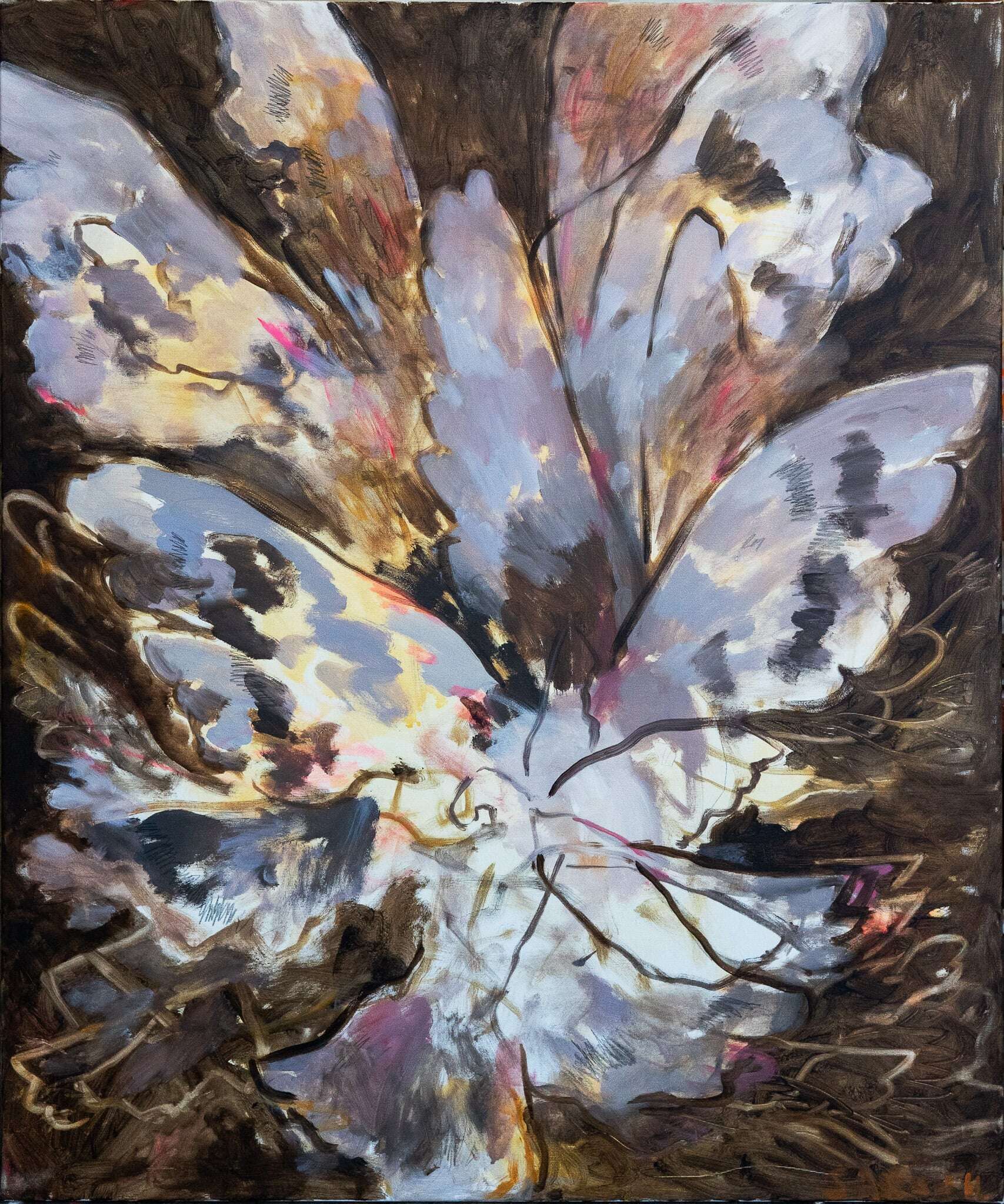 Tauben - Sarah Hischemöller 1