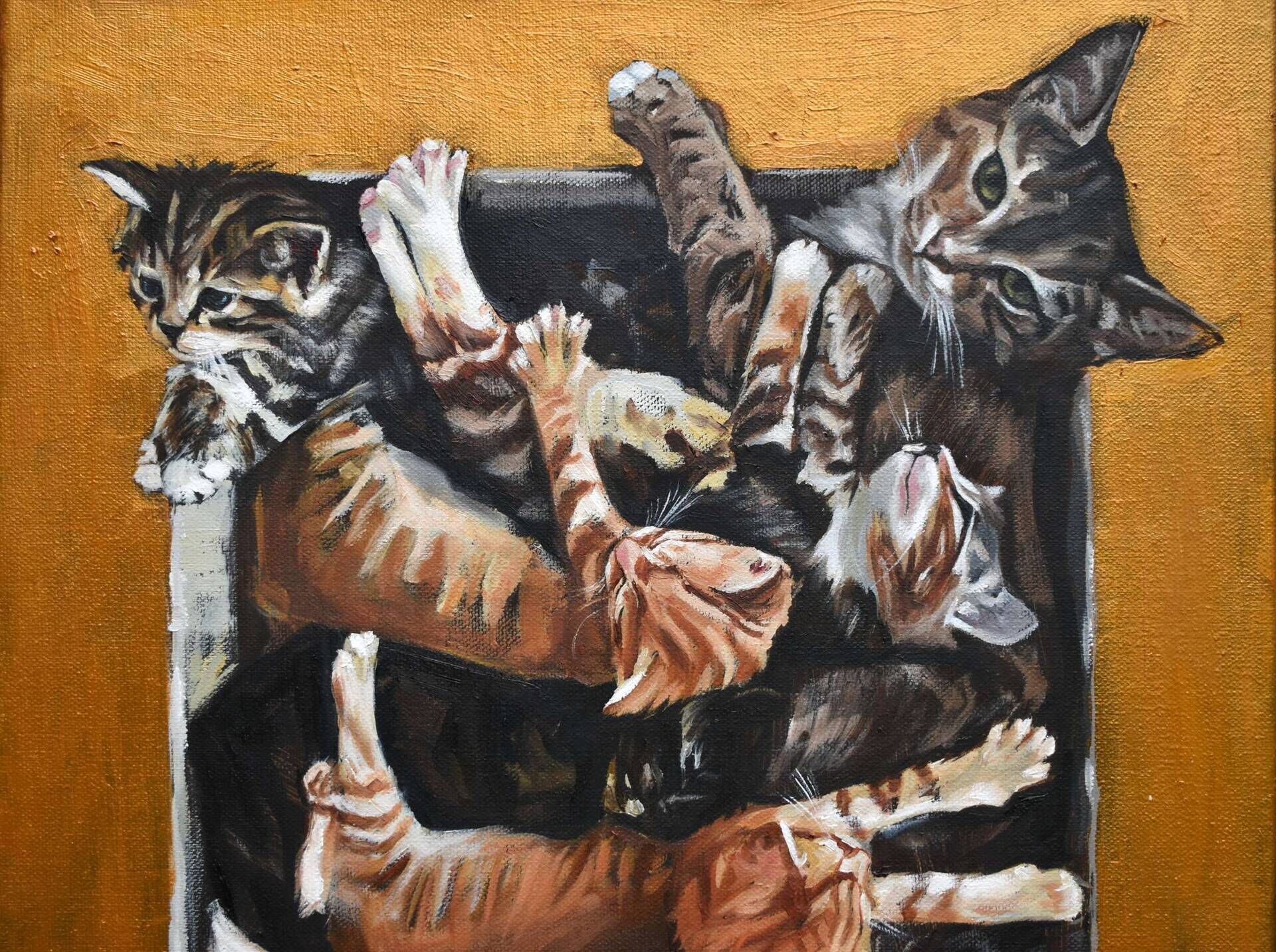 Gold Cat Square - Yelyzaveta Slobodeniuk 2