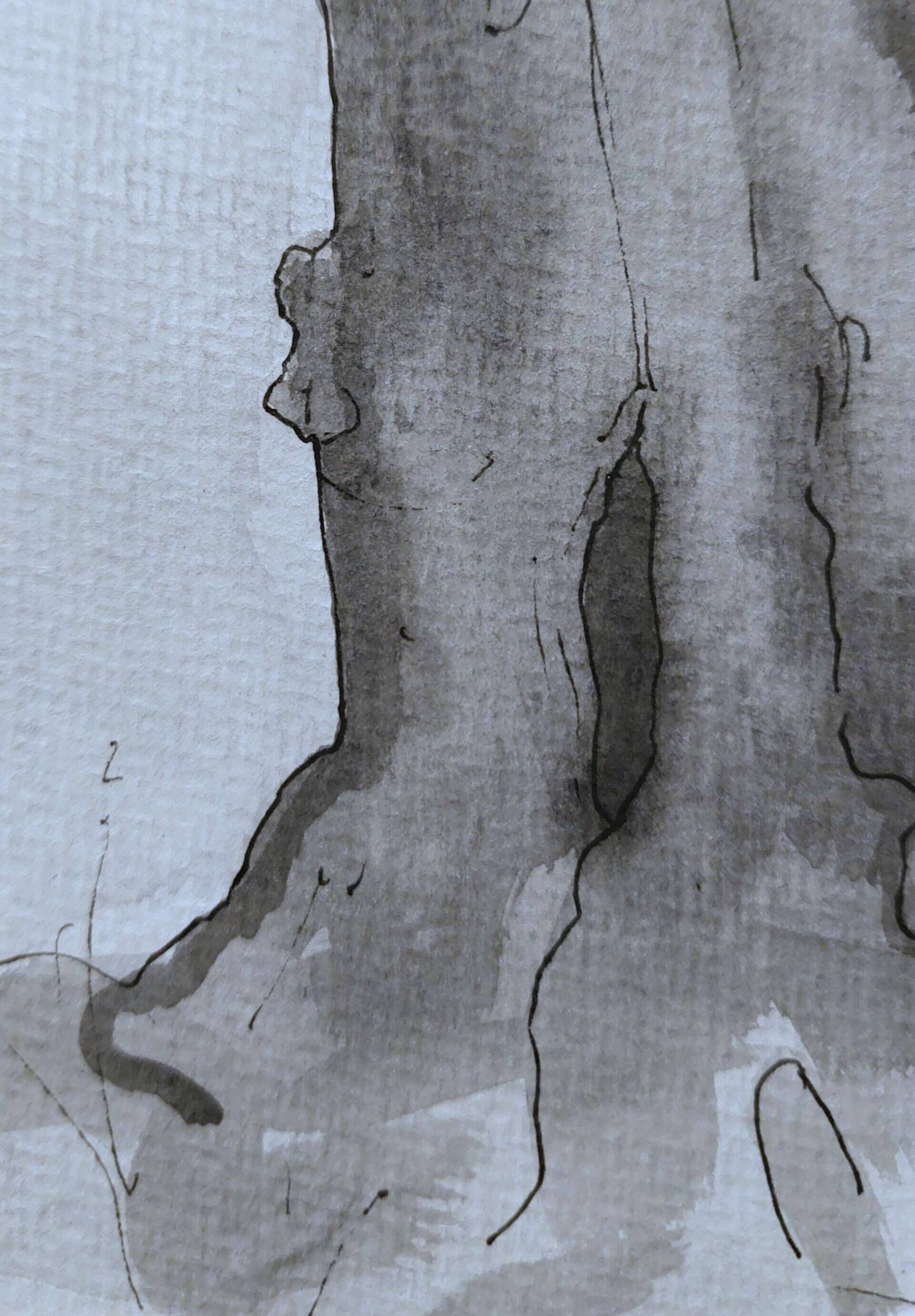 Die Vision im Olivenhain - Alexander Straub 2