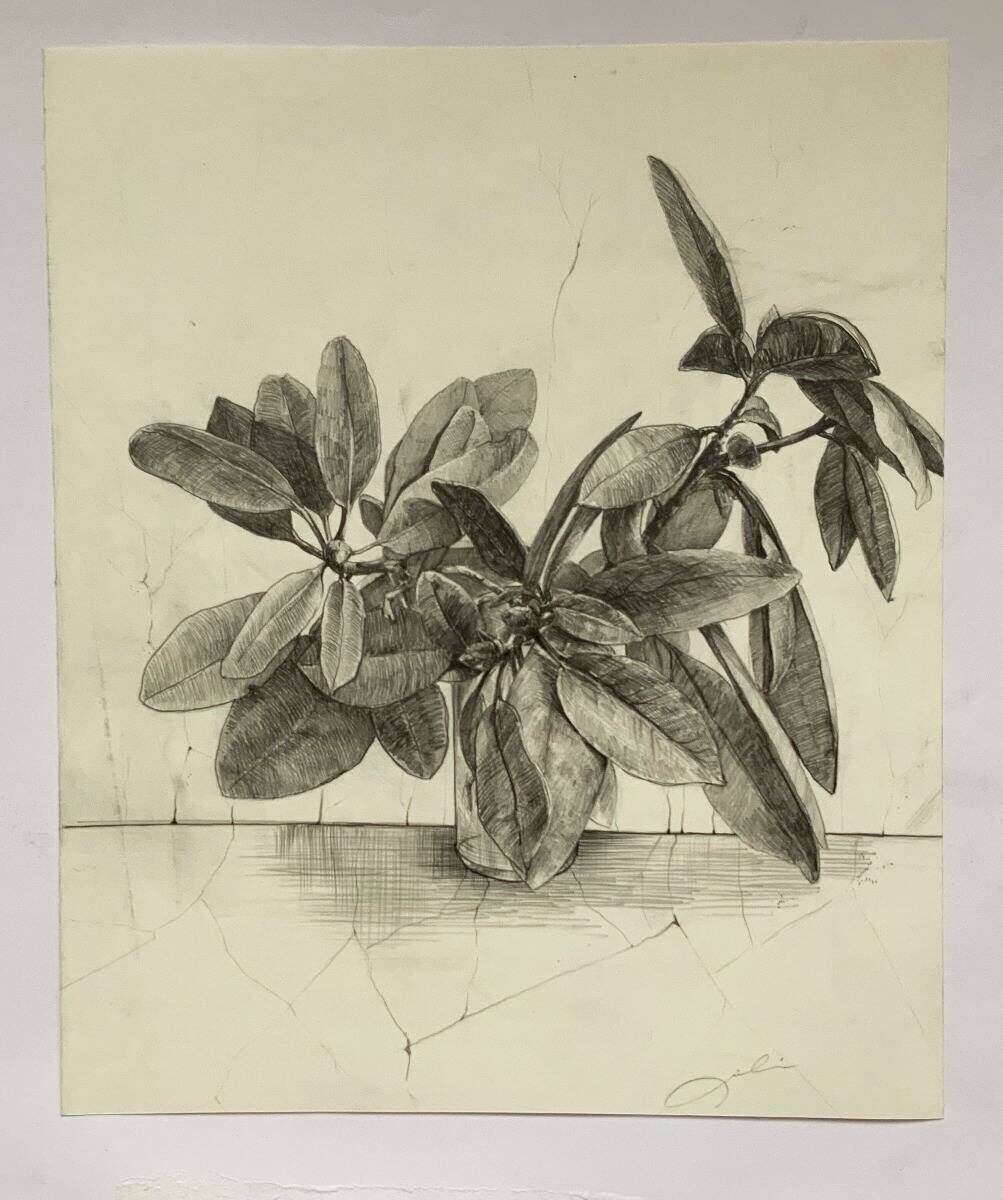 Rhododendron 