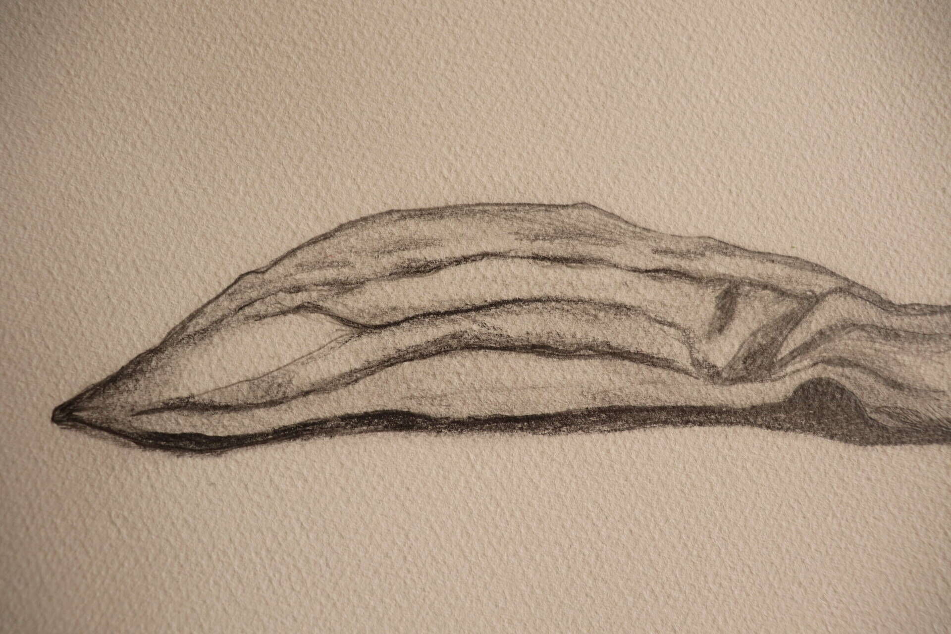 Hingelegt - Karolina Schymura 3