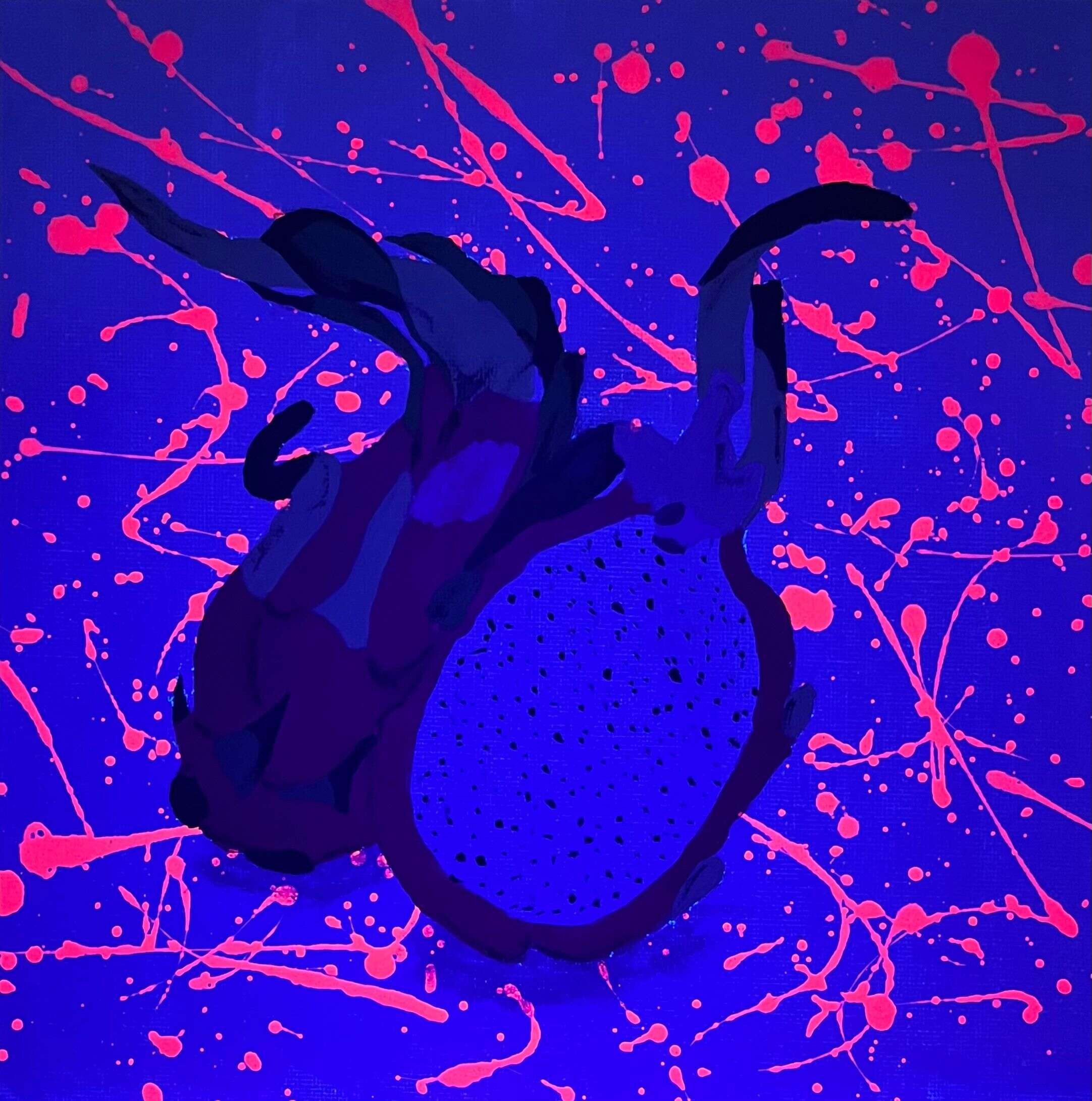 Drachenfrucht - Star 5