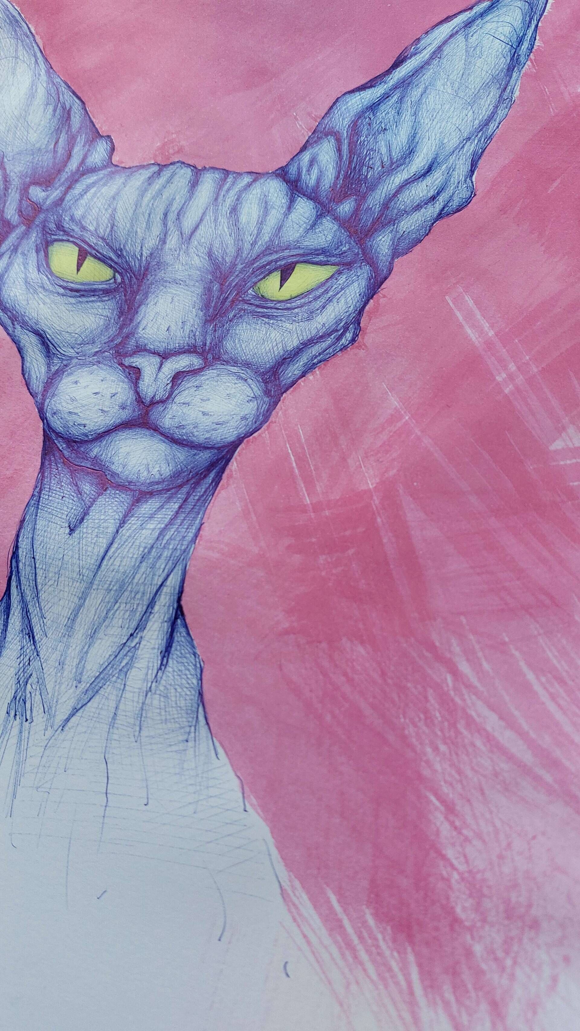 Der Blick der Katze - Alexander Straub 6