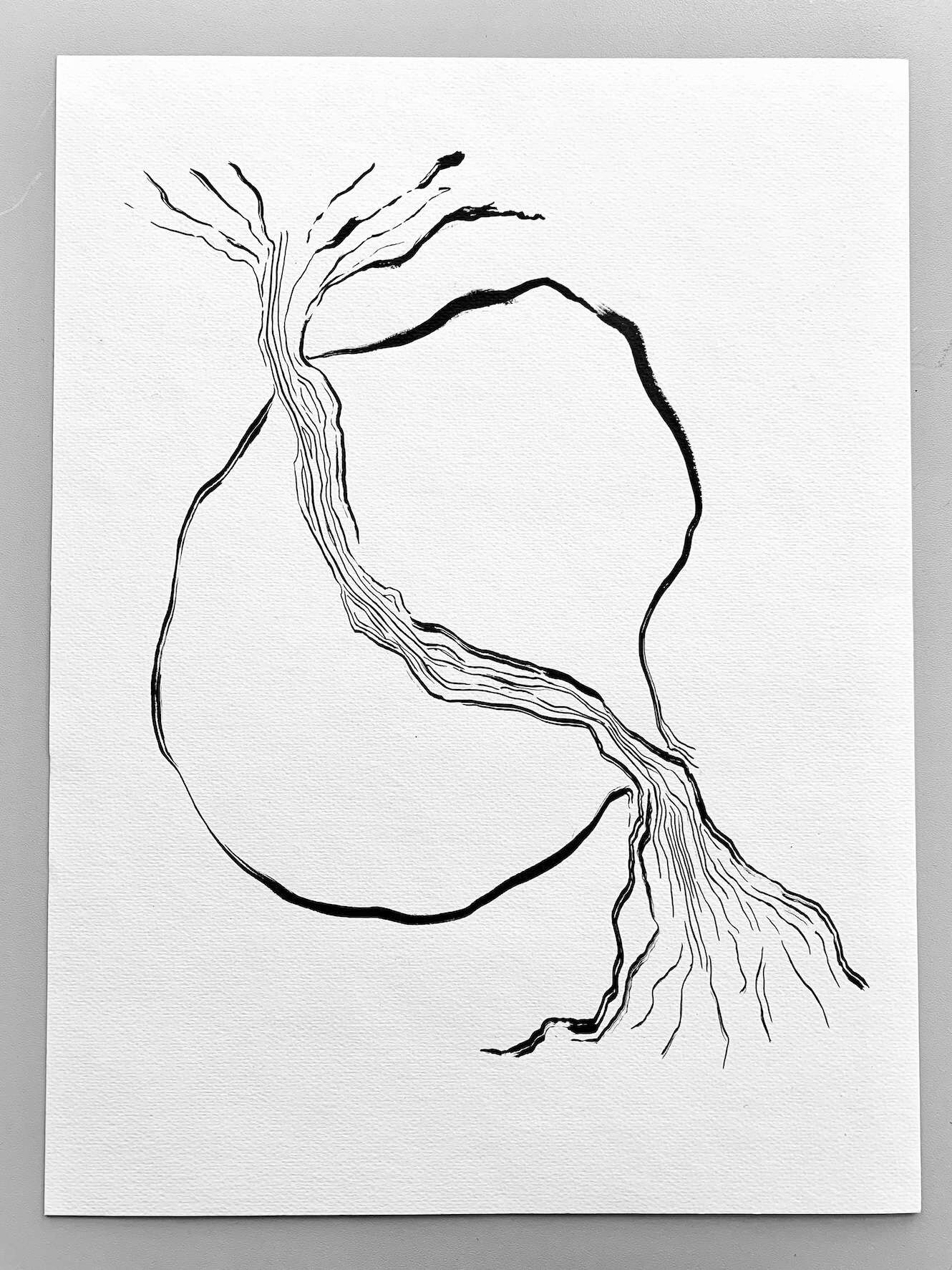 Tree and Seed - Carolina Reyes 4