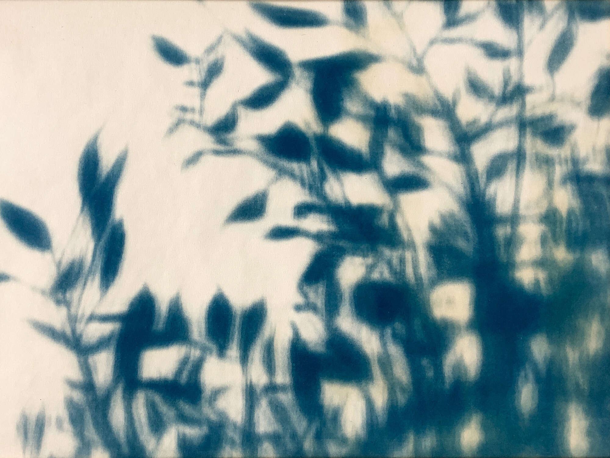 schemen # 1 - Anna Hoffmann 1