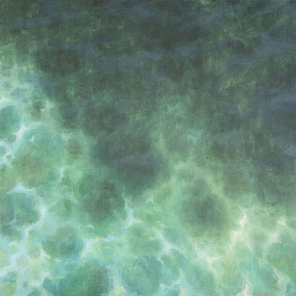 Tidescape II - Janna Schnoor 1