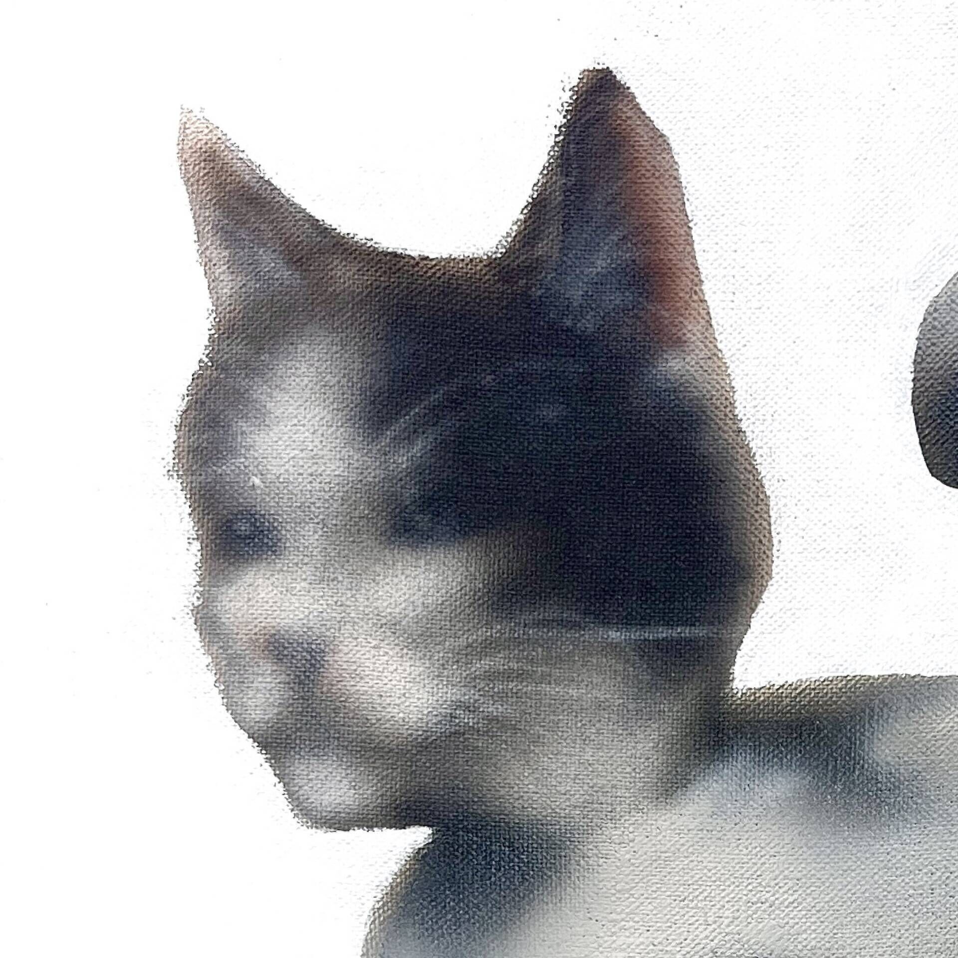Katze (Babsi) - Mia-Franziska Böhm 2
