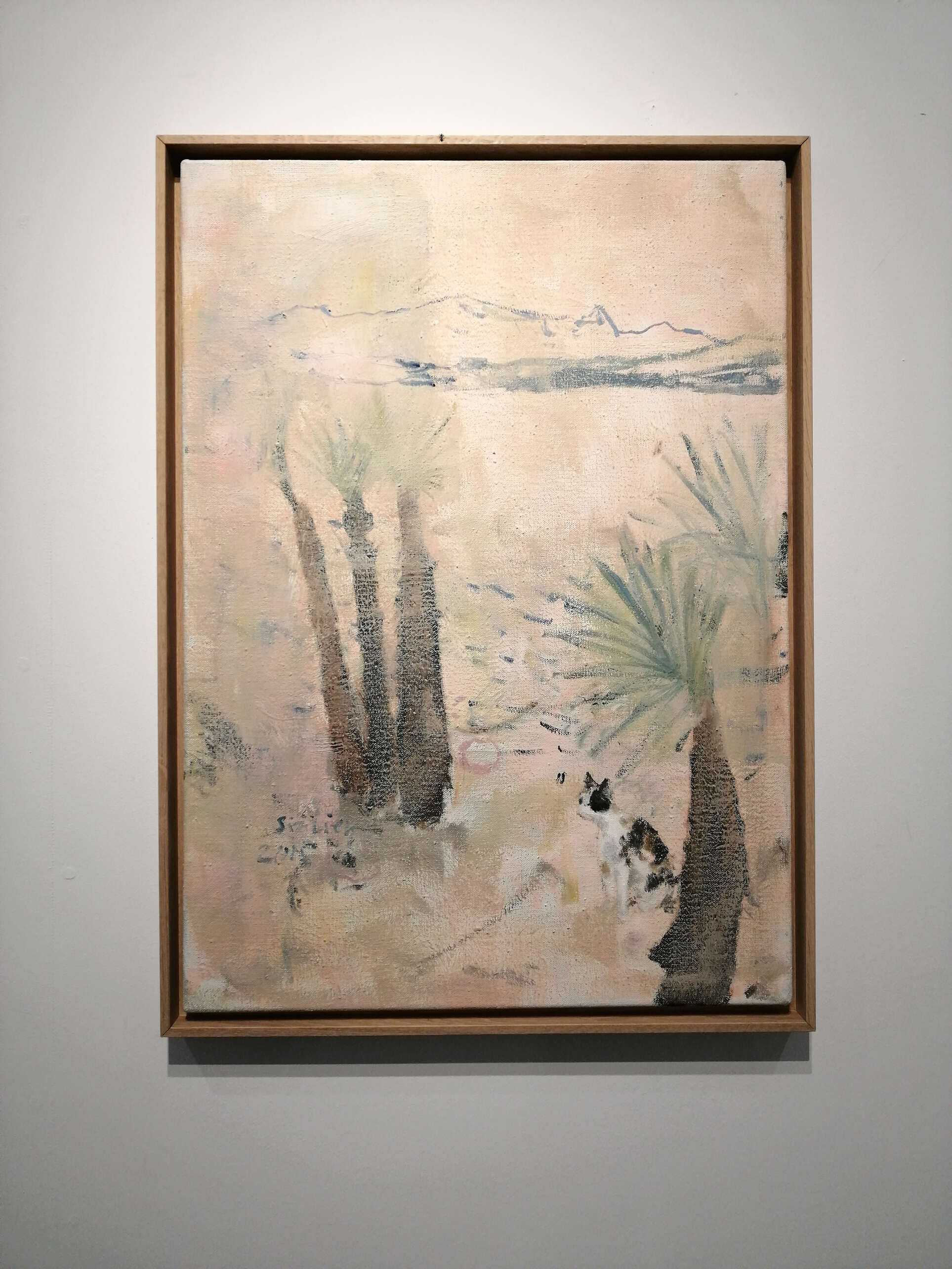Sizilianische Katze - Christian Herzig 2